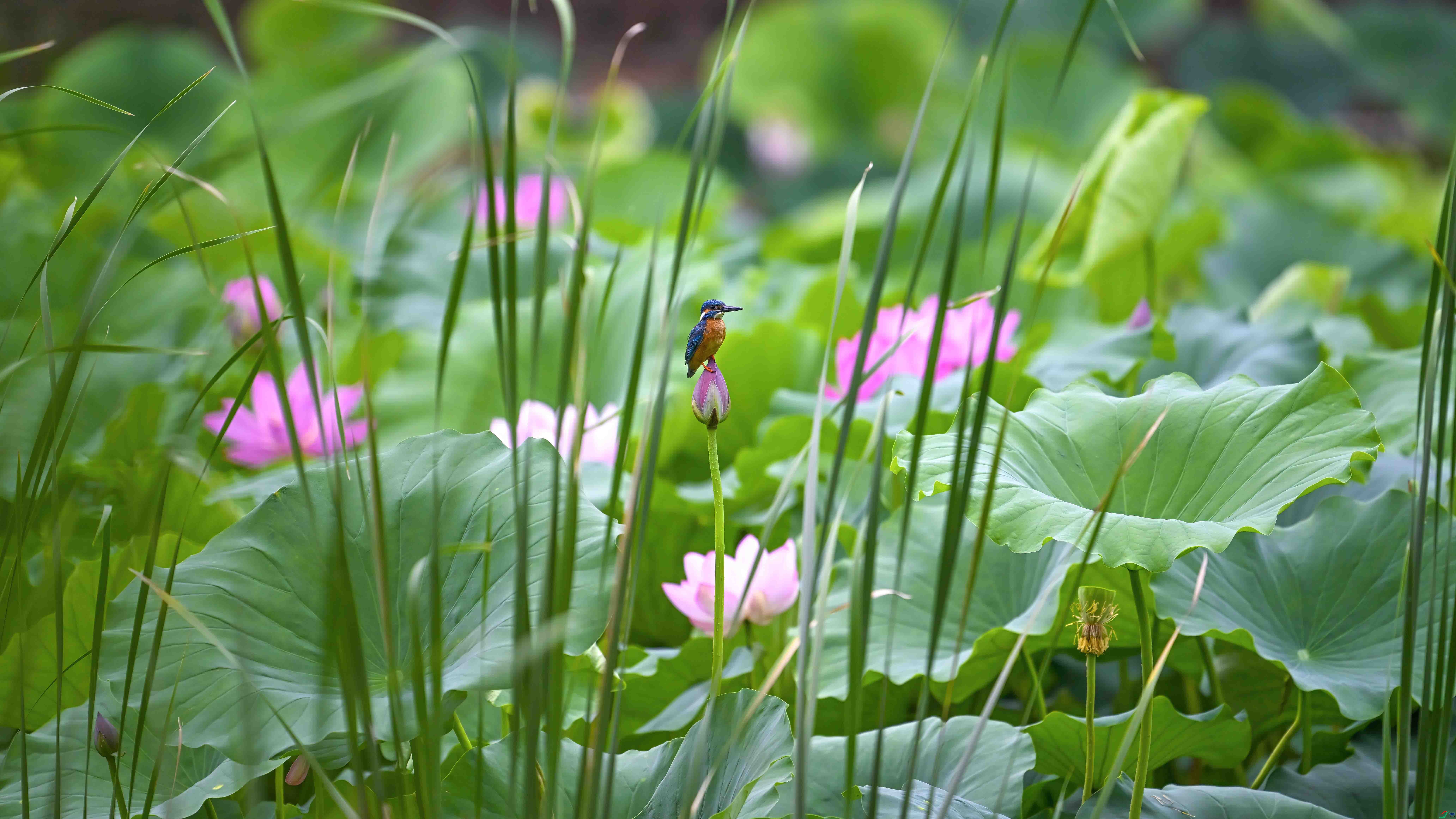 _DSC0857 ���� 2.jpg