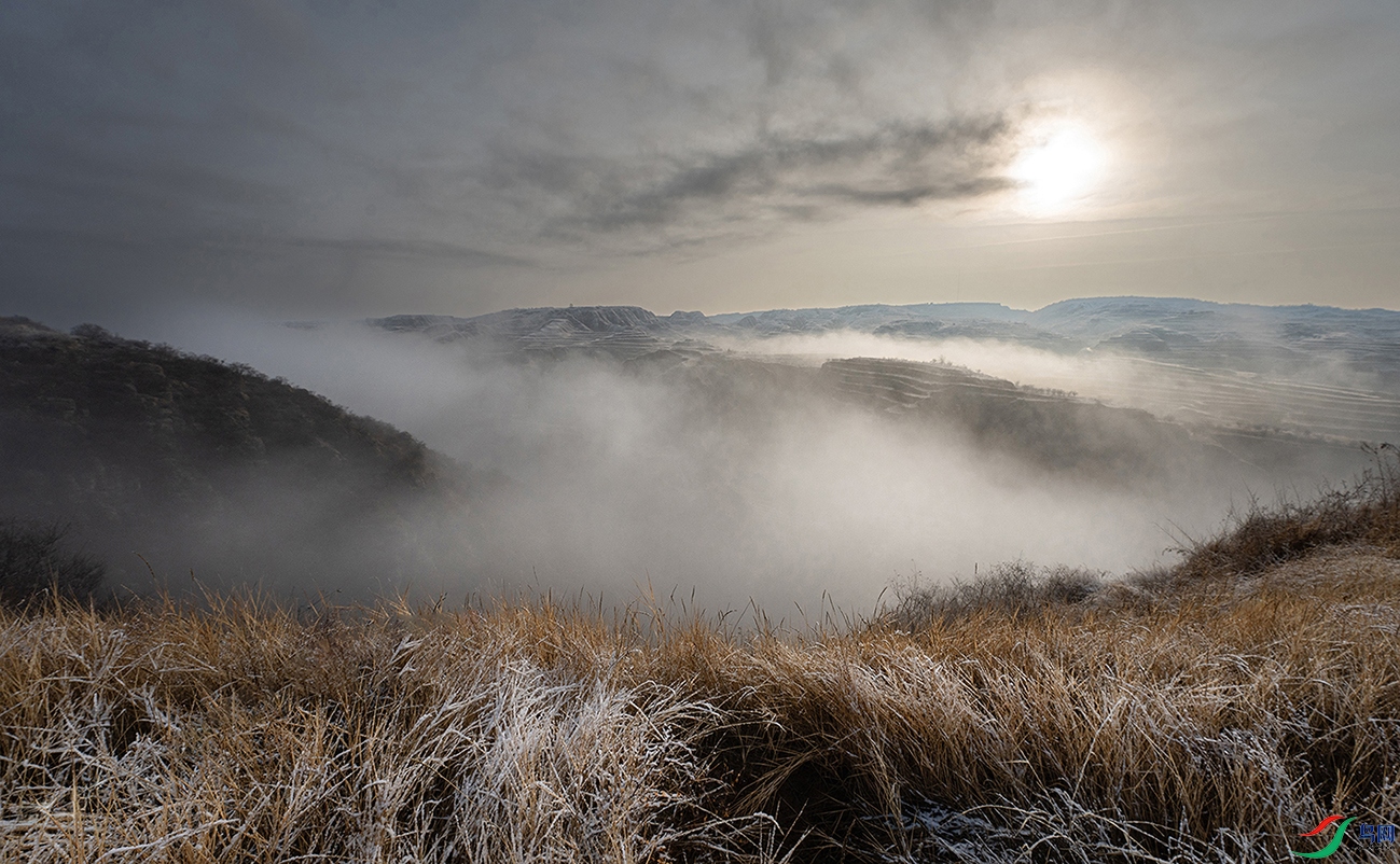 DSC03497 ����.jpg