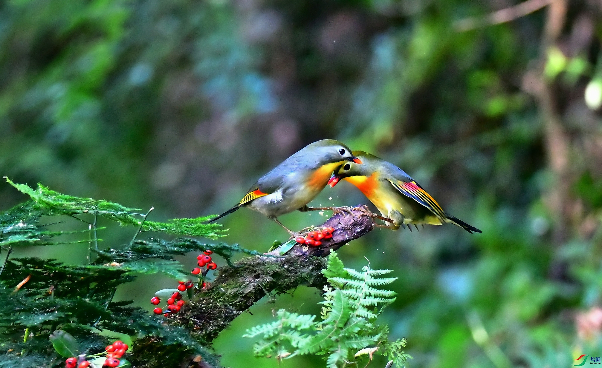DSC_5613.jpg