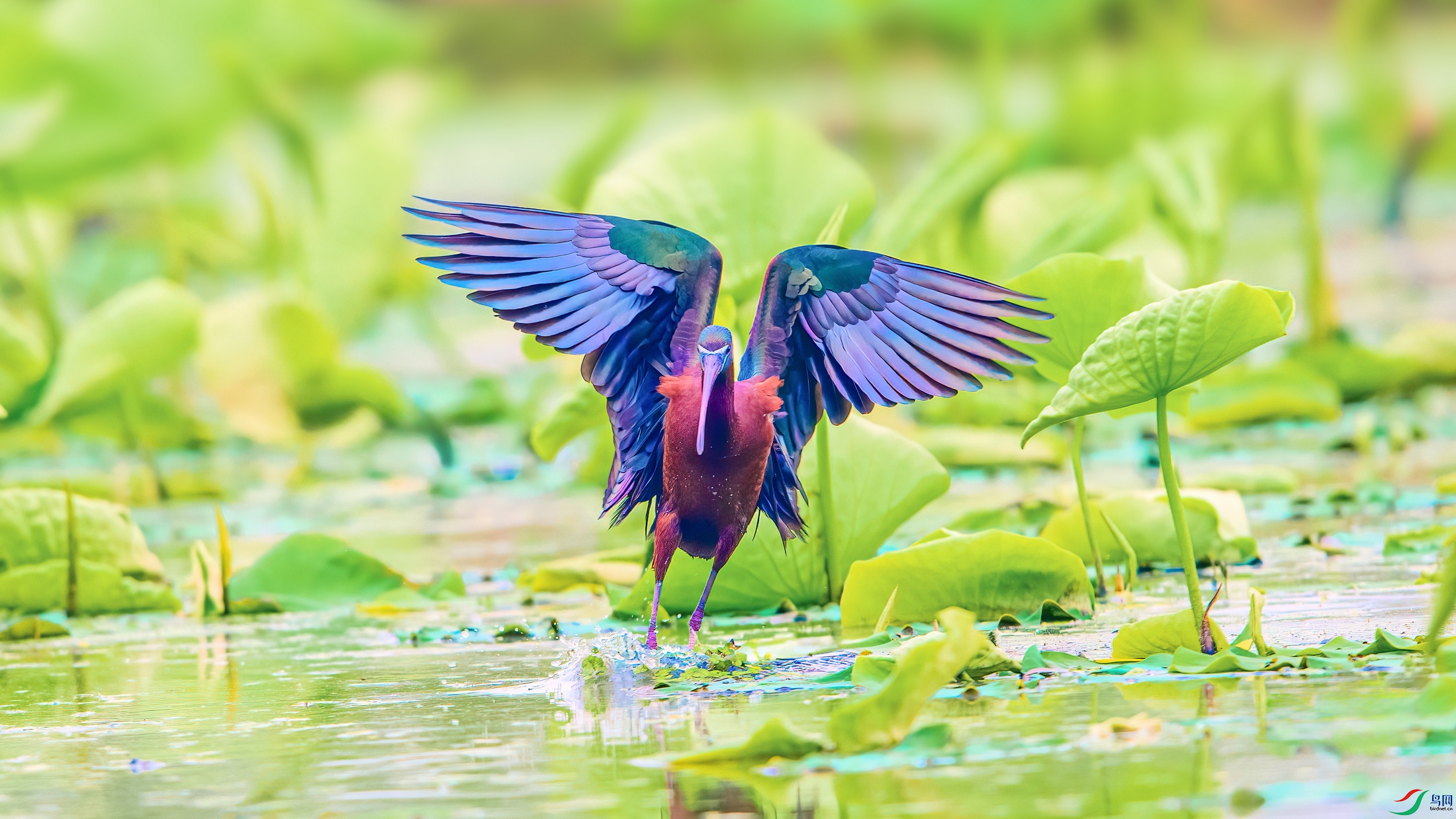 ��Ƭ_DSC6475 ����.jpg