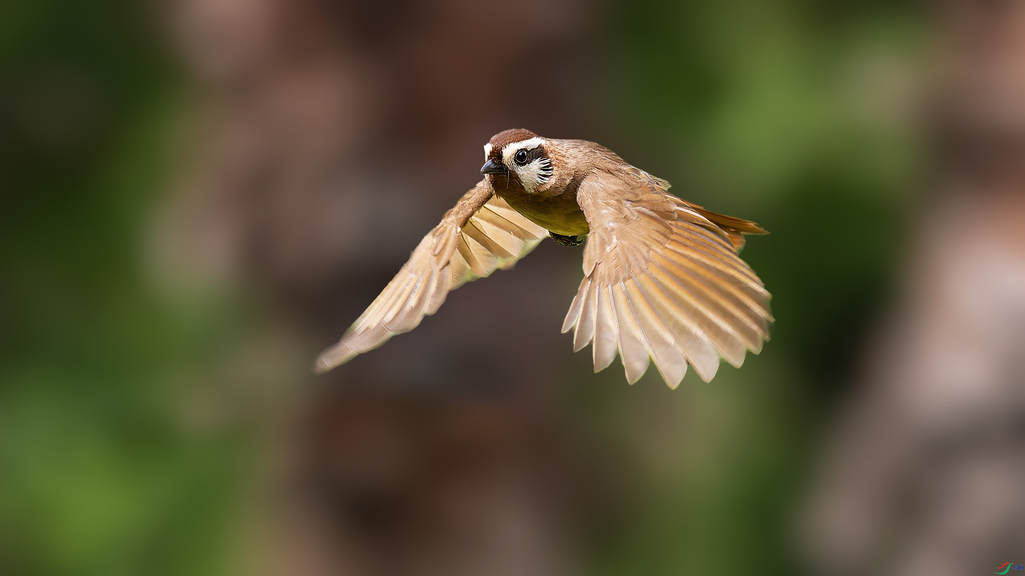 P5110783-ORF_DxO_DeepPRIMEXD ���� 2.jpg