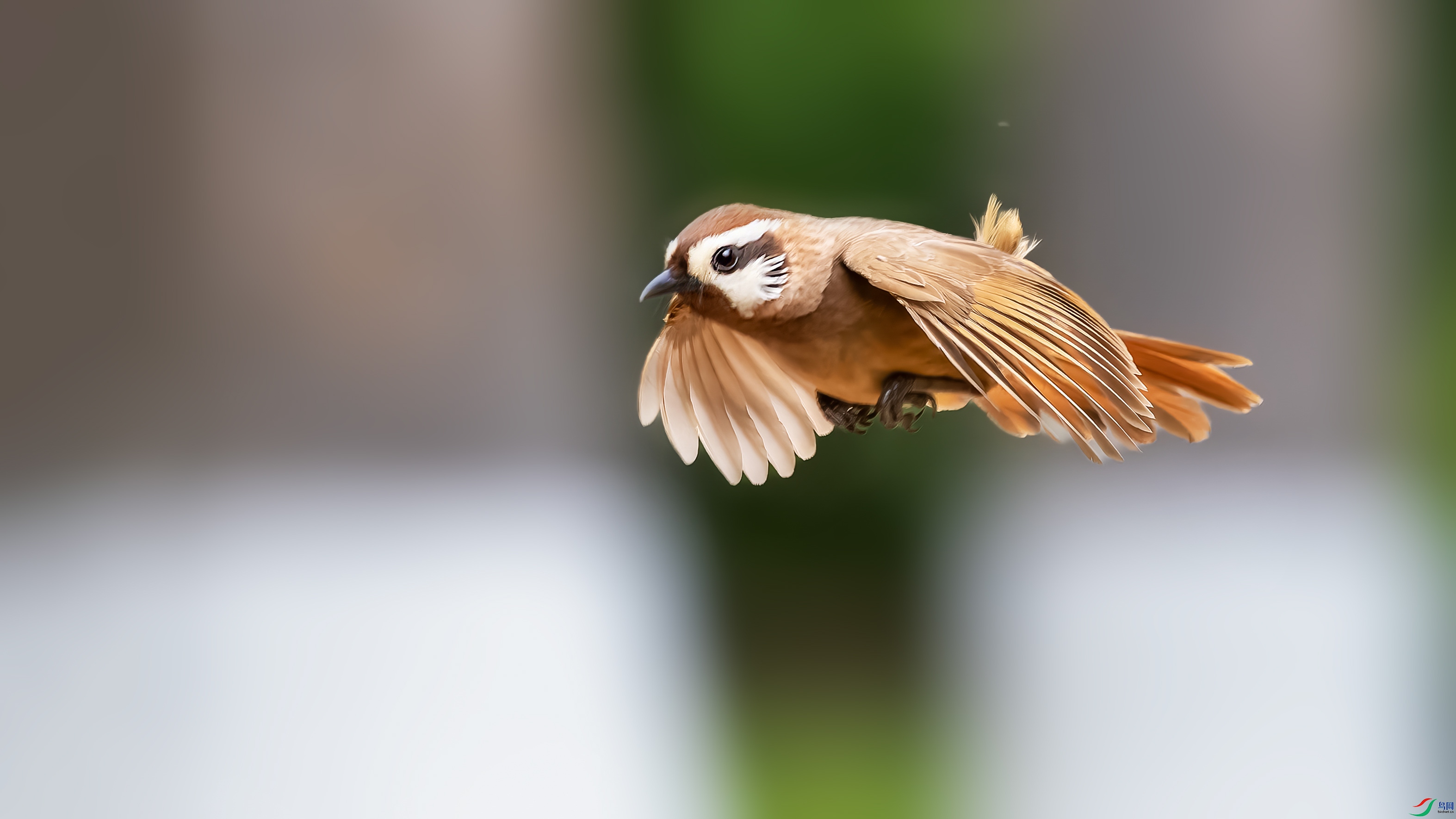 P5110793-ORF_DxO_DeepPRIMEXD ���� 2.jpg