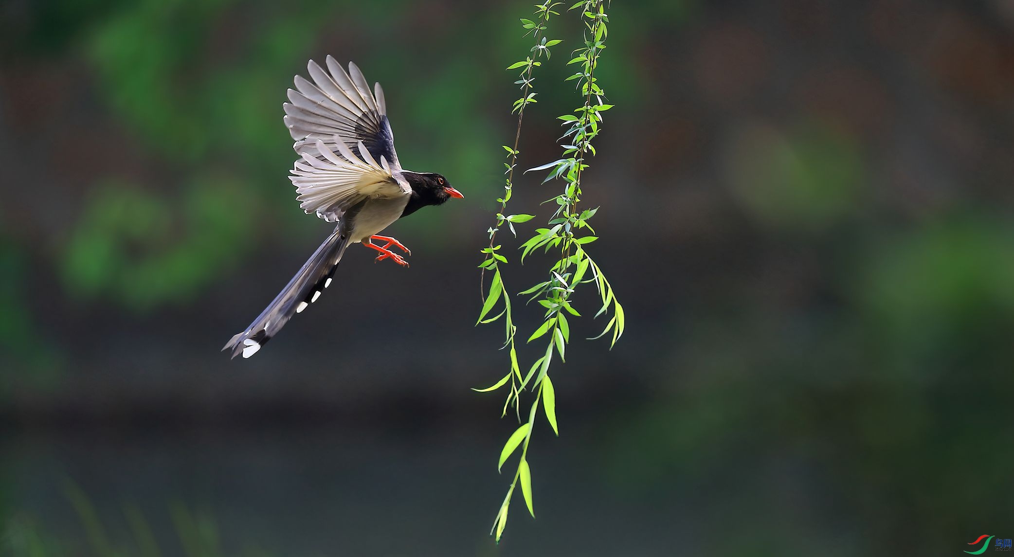 B43I2421-SharpenAI-Motion.jpg