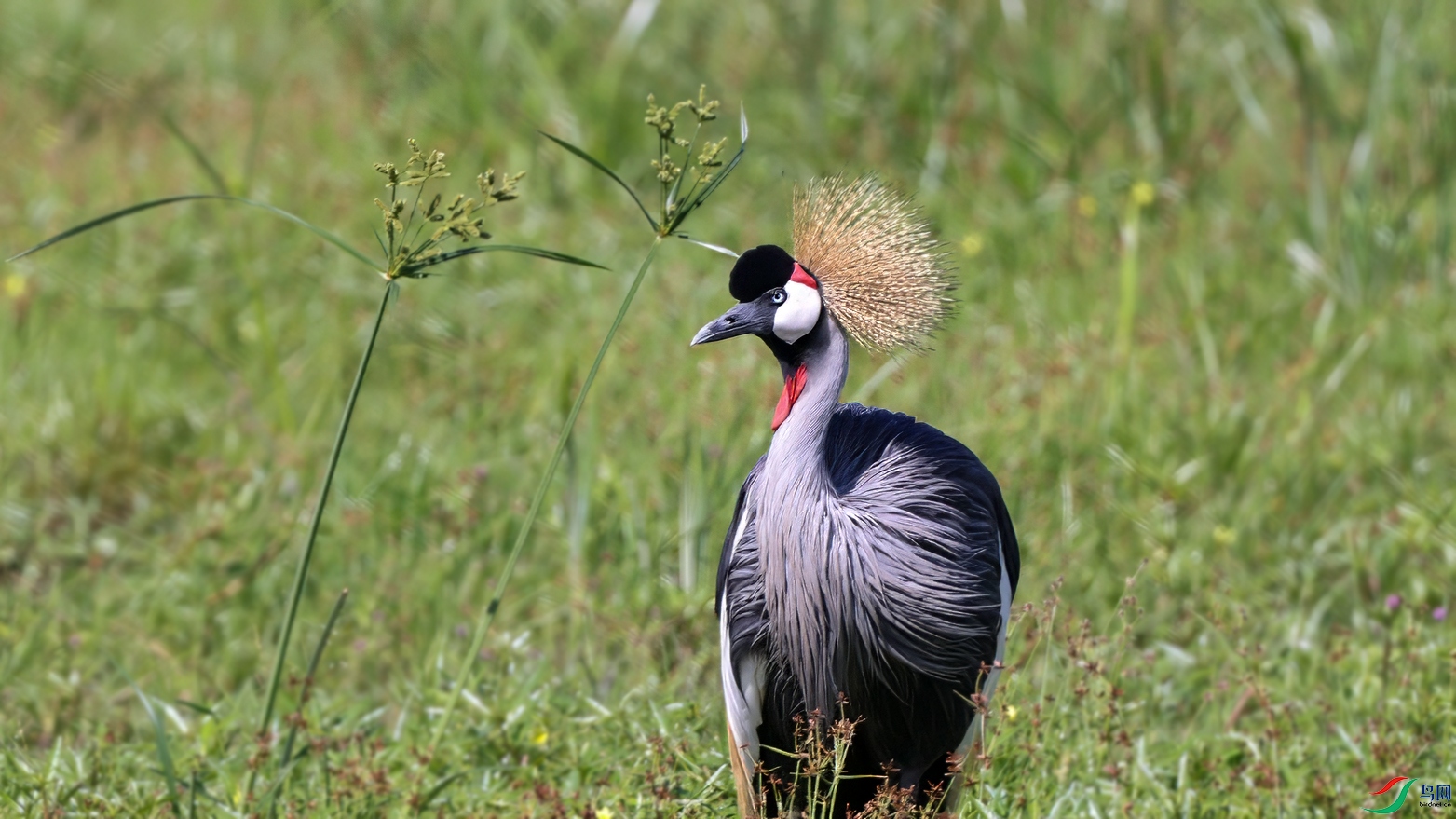 ΢��ͼƬ_20240517142130 ����.jpg