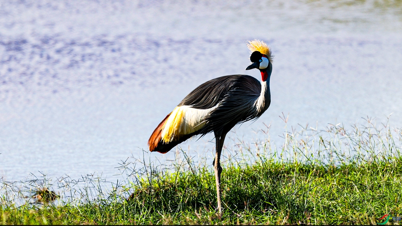 ΢��ͼƬ_20240517141005 ����.jpg