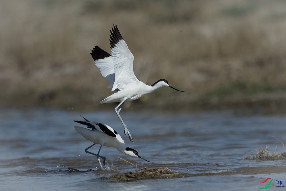 DSC_6927 ���� 2.jpg