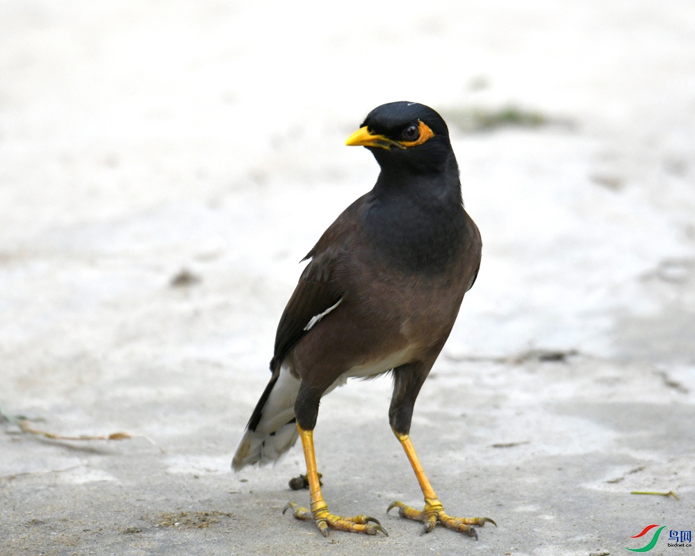 DSC_1879.jpg