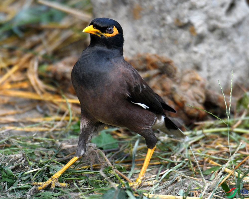 DSC_1888.jpg