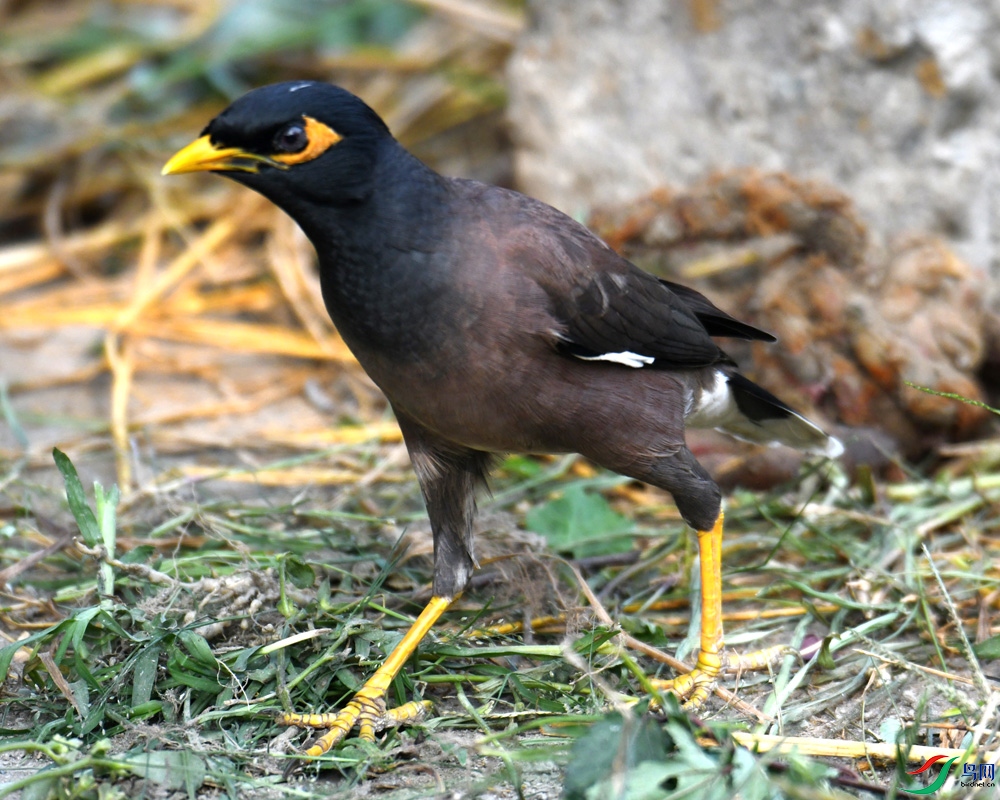 DSC_1889.jpg
