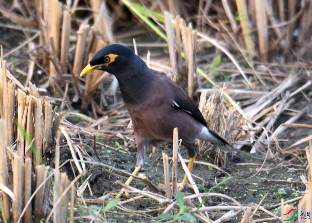 DSC_2200.jpg
