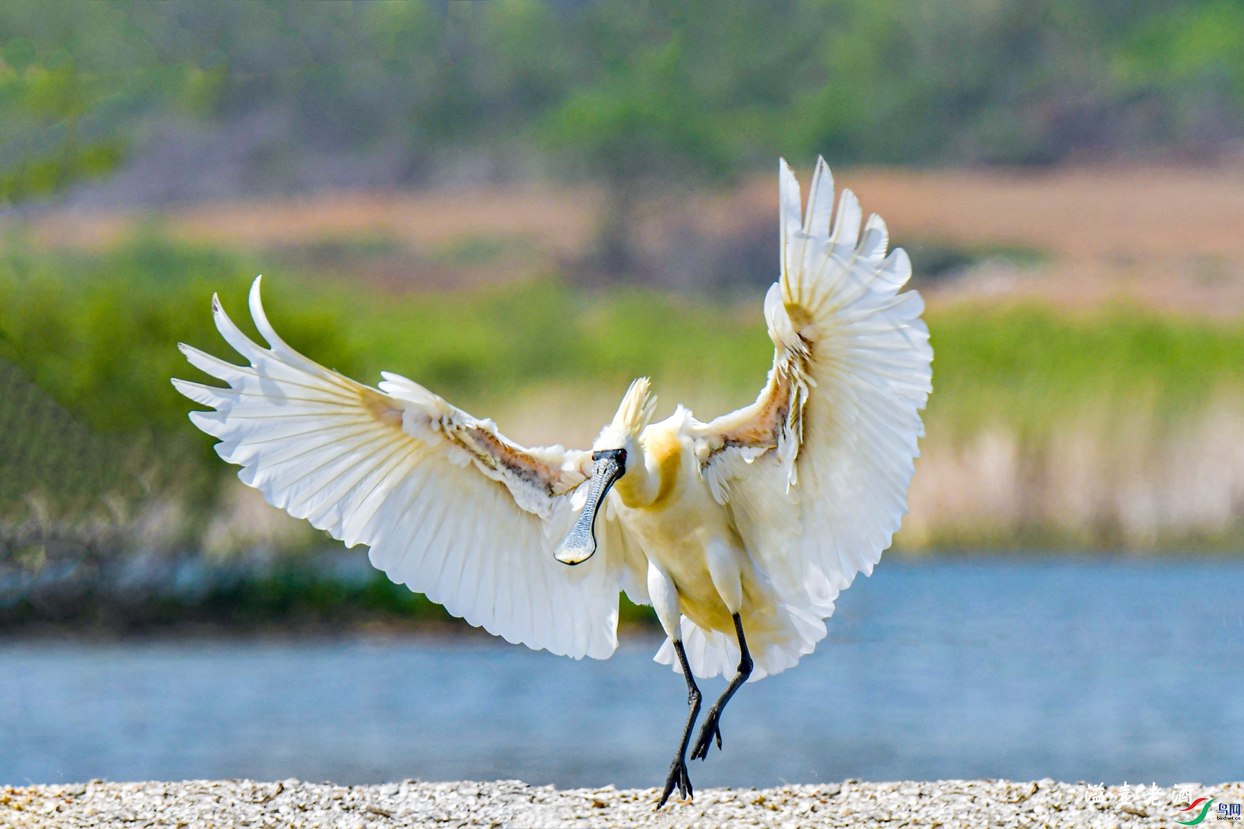 ��������