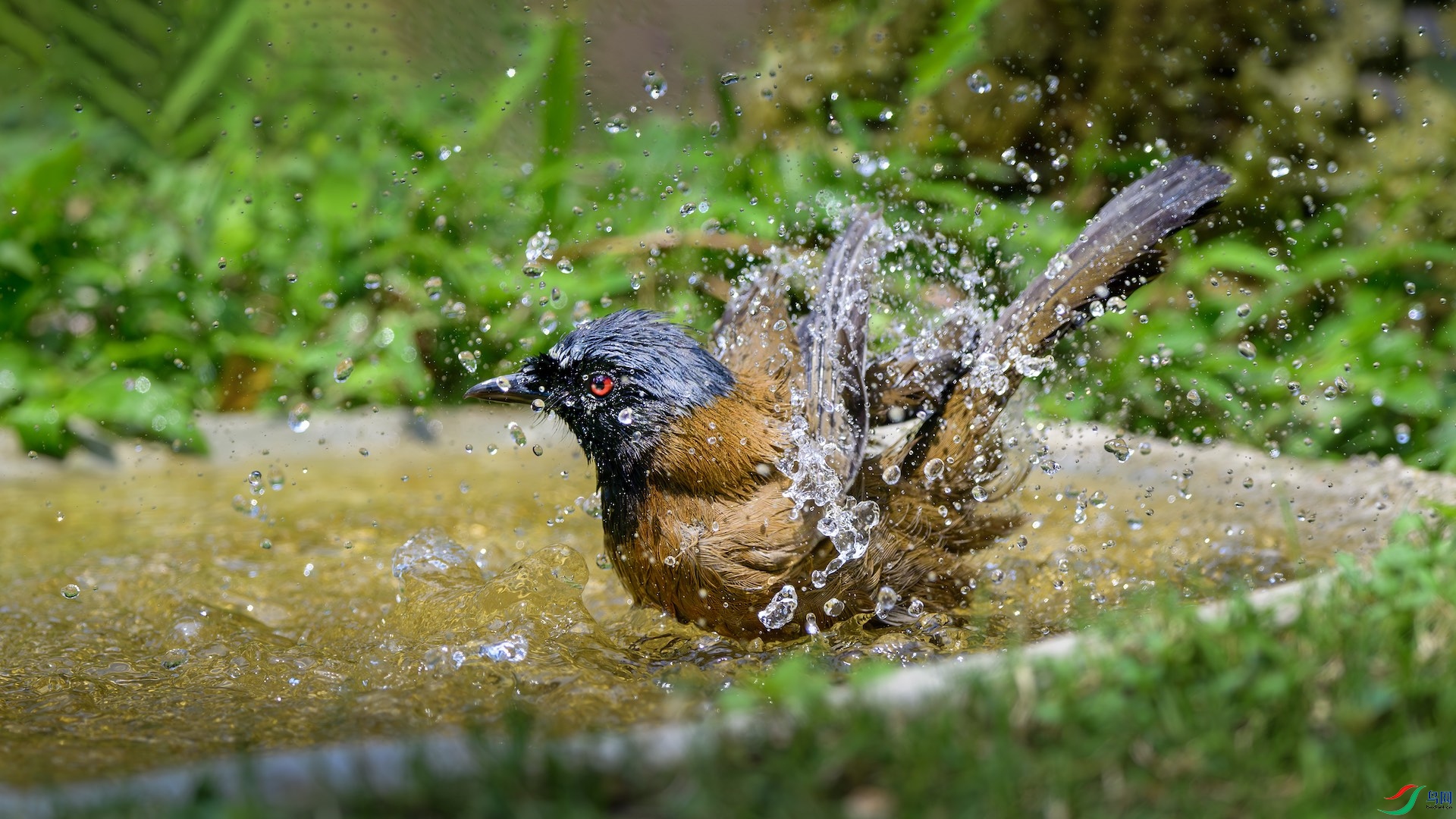 8_XXL2220-����ǿ-NR ����.jpeg