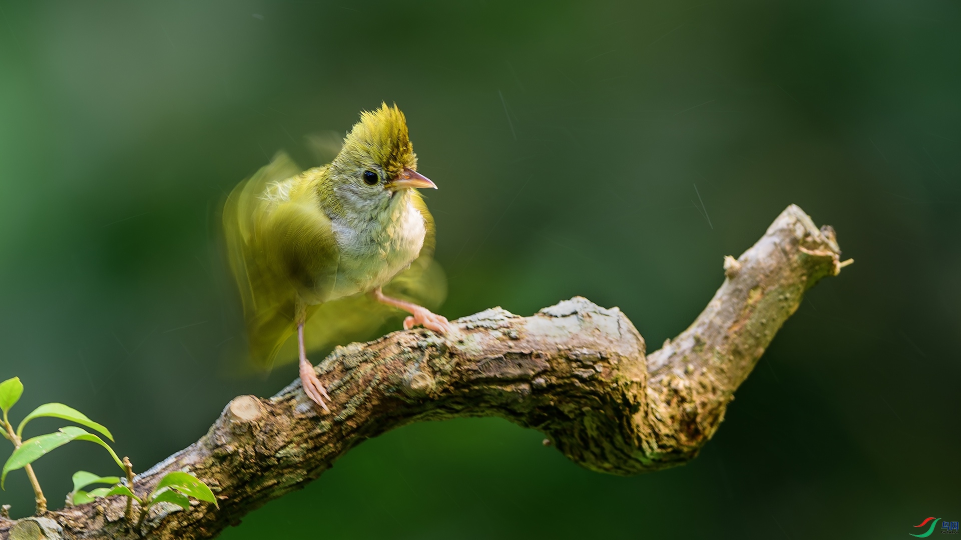 8_XXL7400-����ǿ-NR ����.jpeg