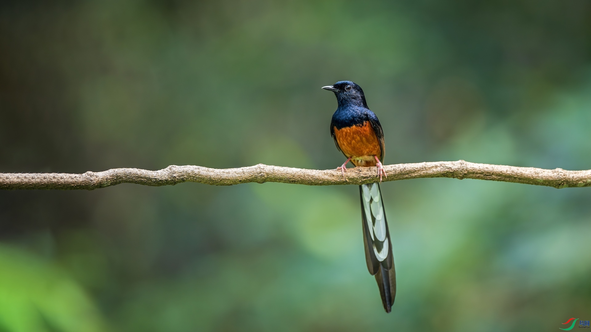 8_XXL7932-����ǿ-NR ����.jpeg