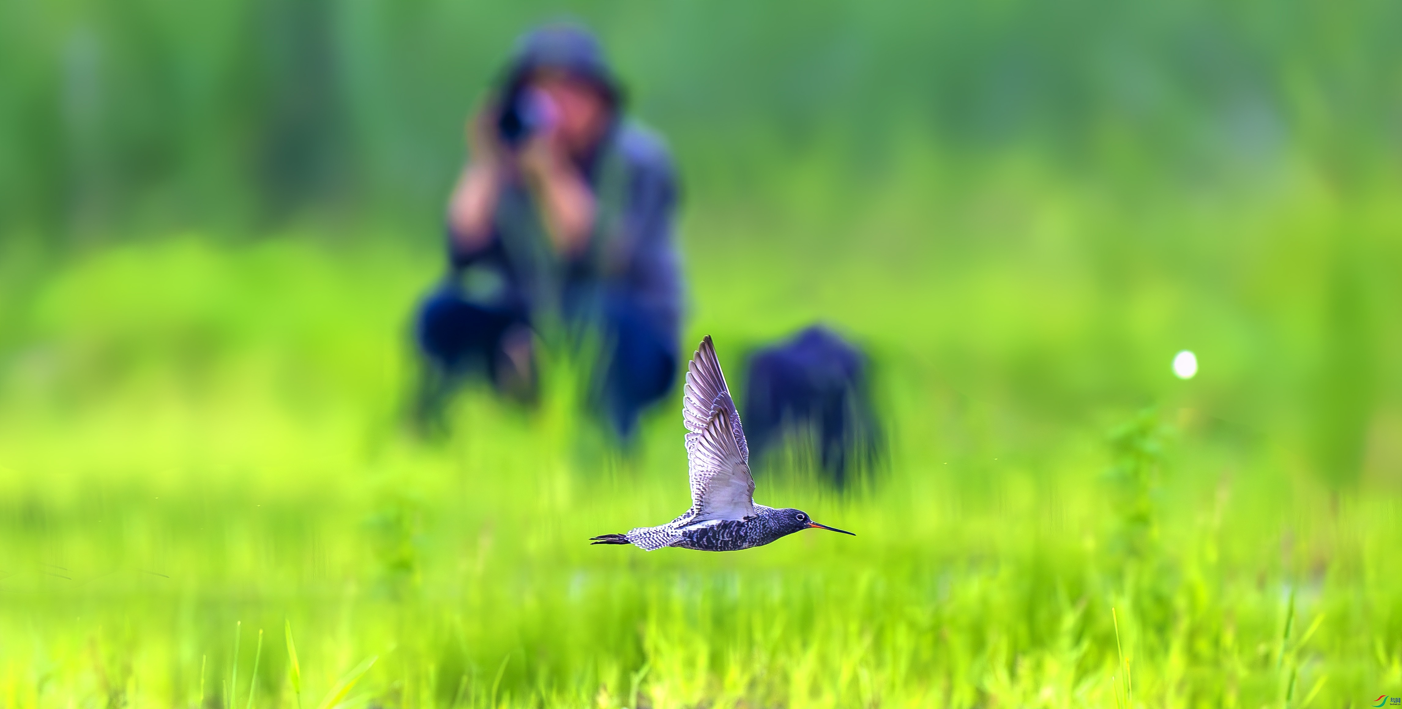 _DDS0998_����.jpg