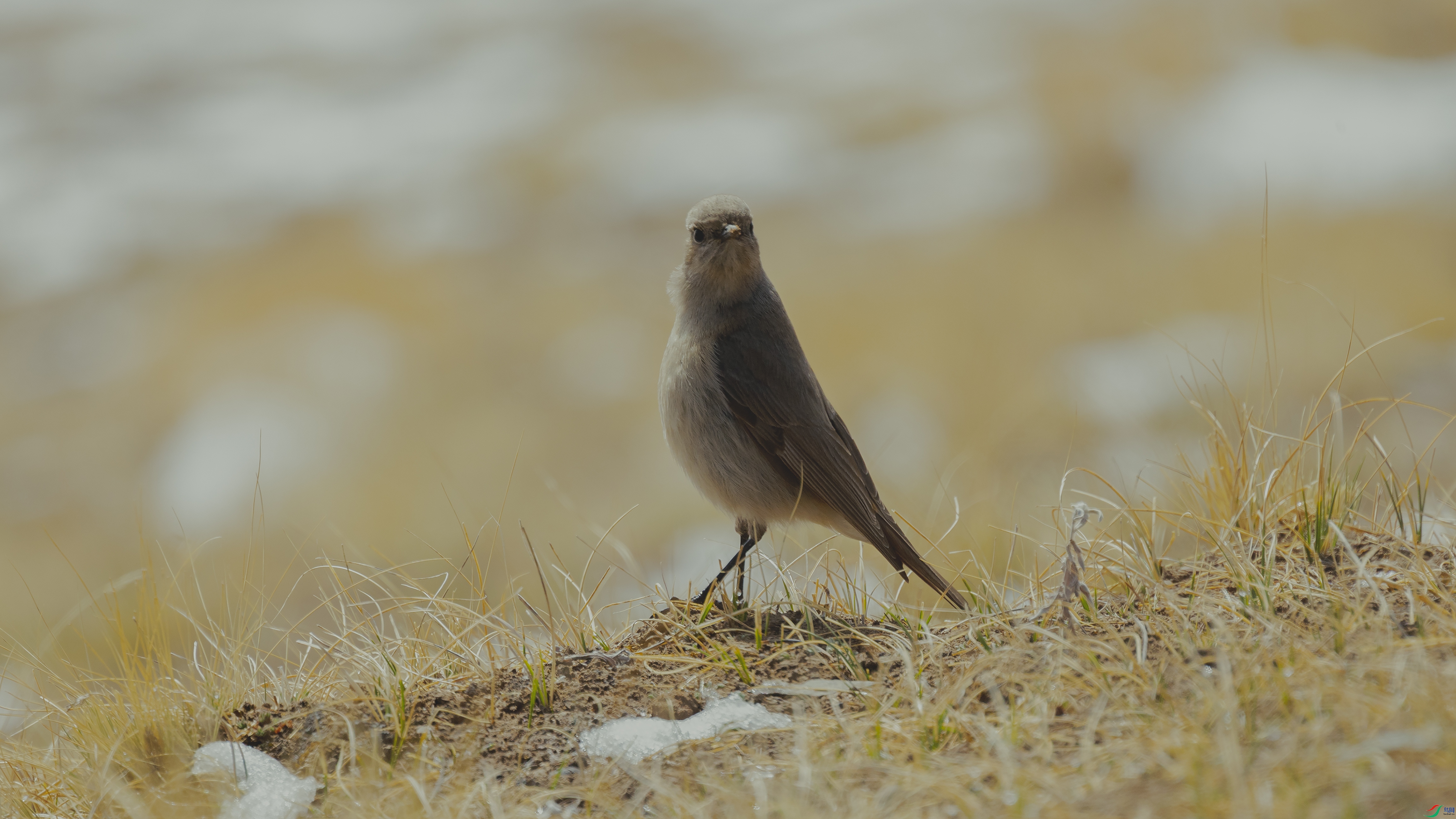 7X5A1732 ����444.jpg