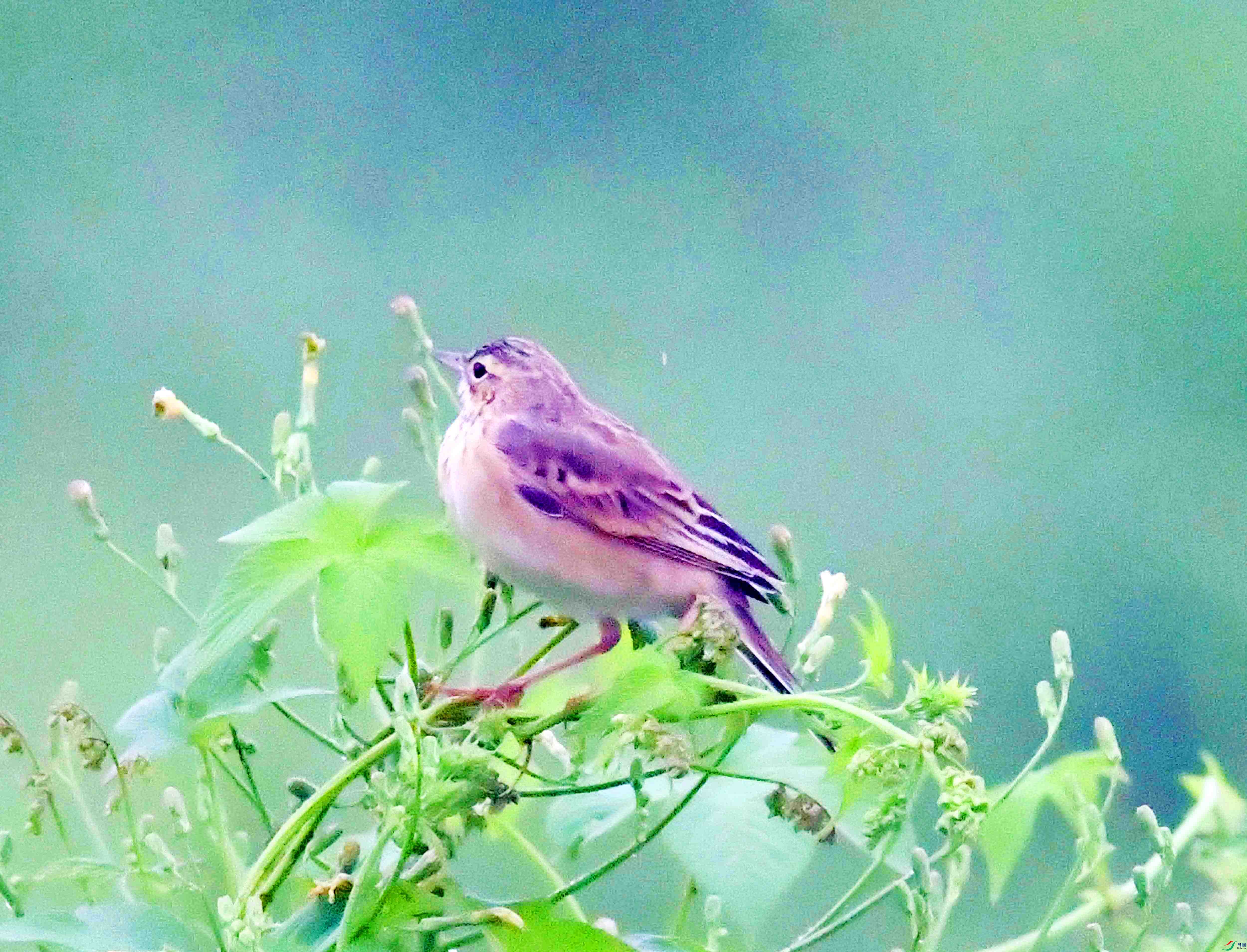 DSC_3982.JPG