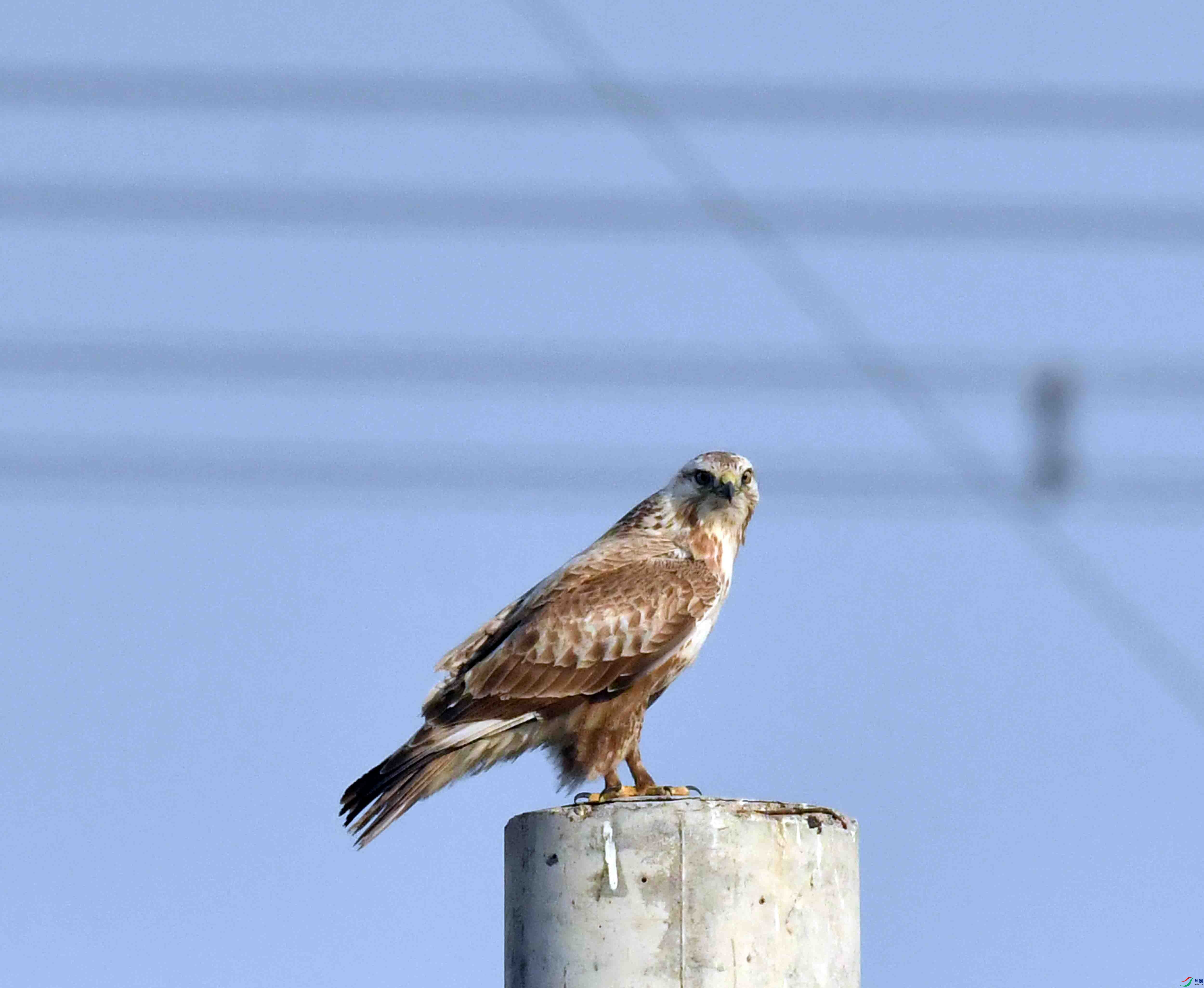 DSC_6118.JPG