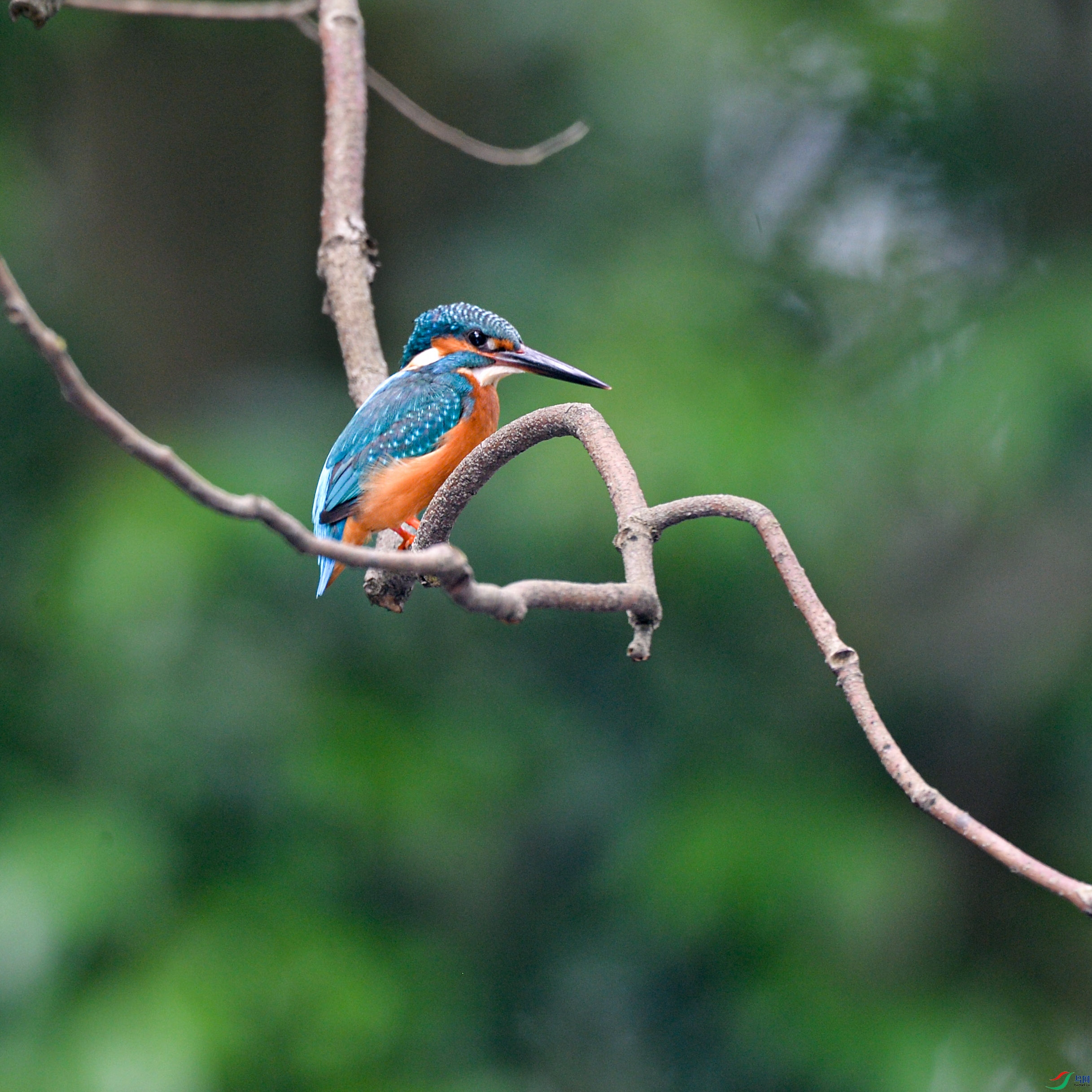 DSC_7571.jpg