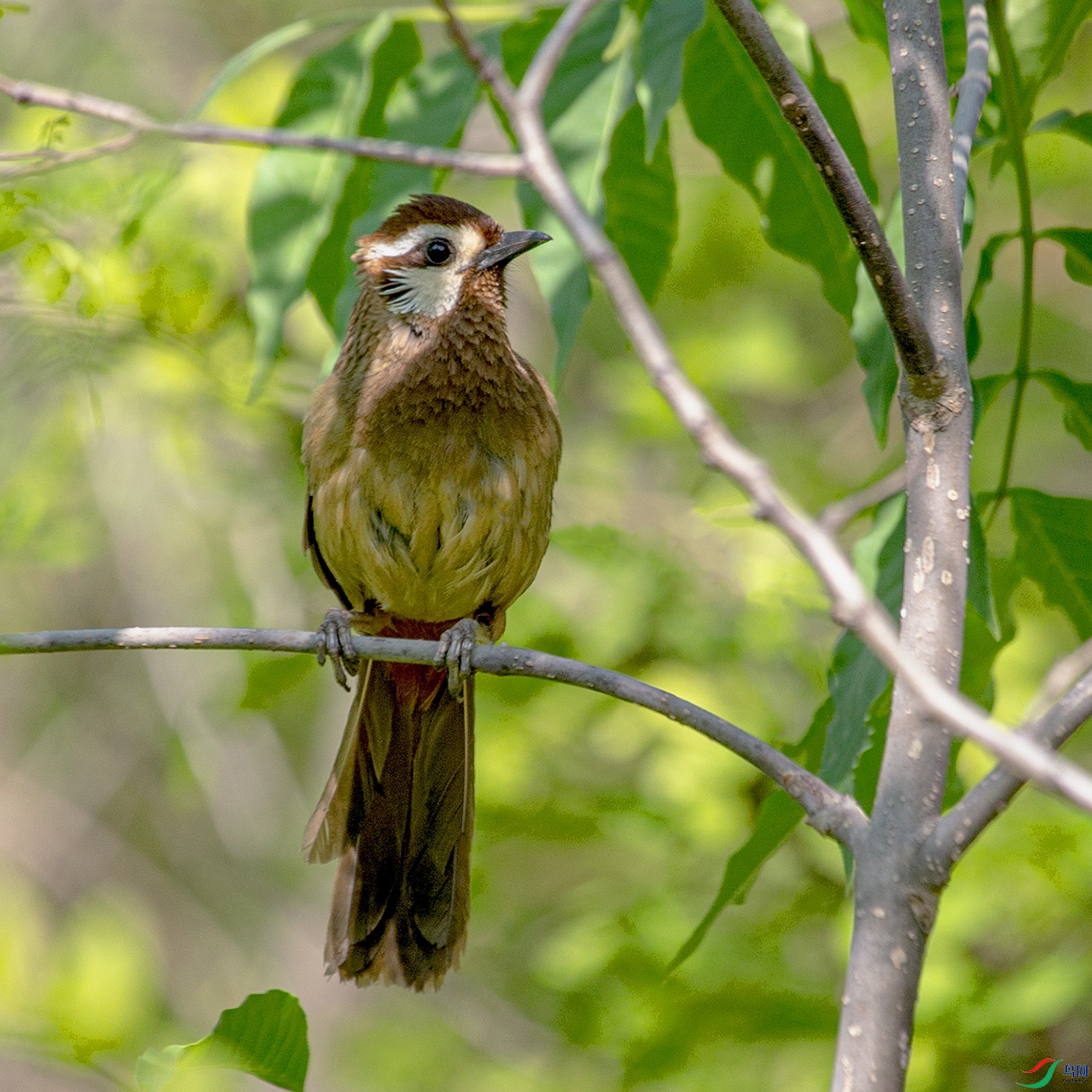 _MG_1435 ����.jpg