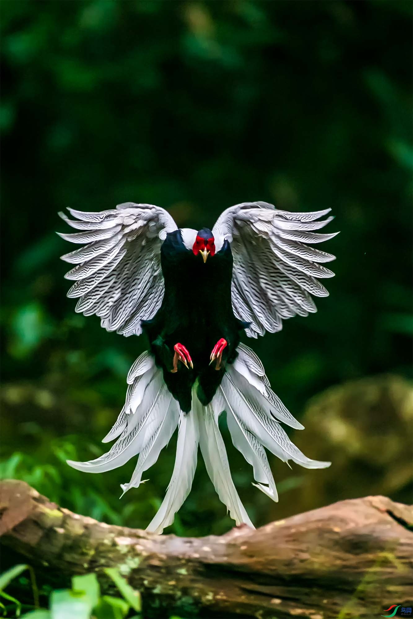����