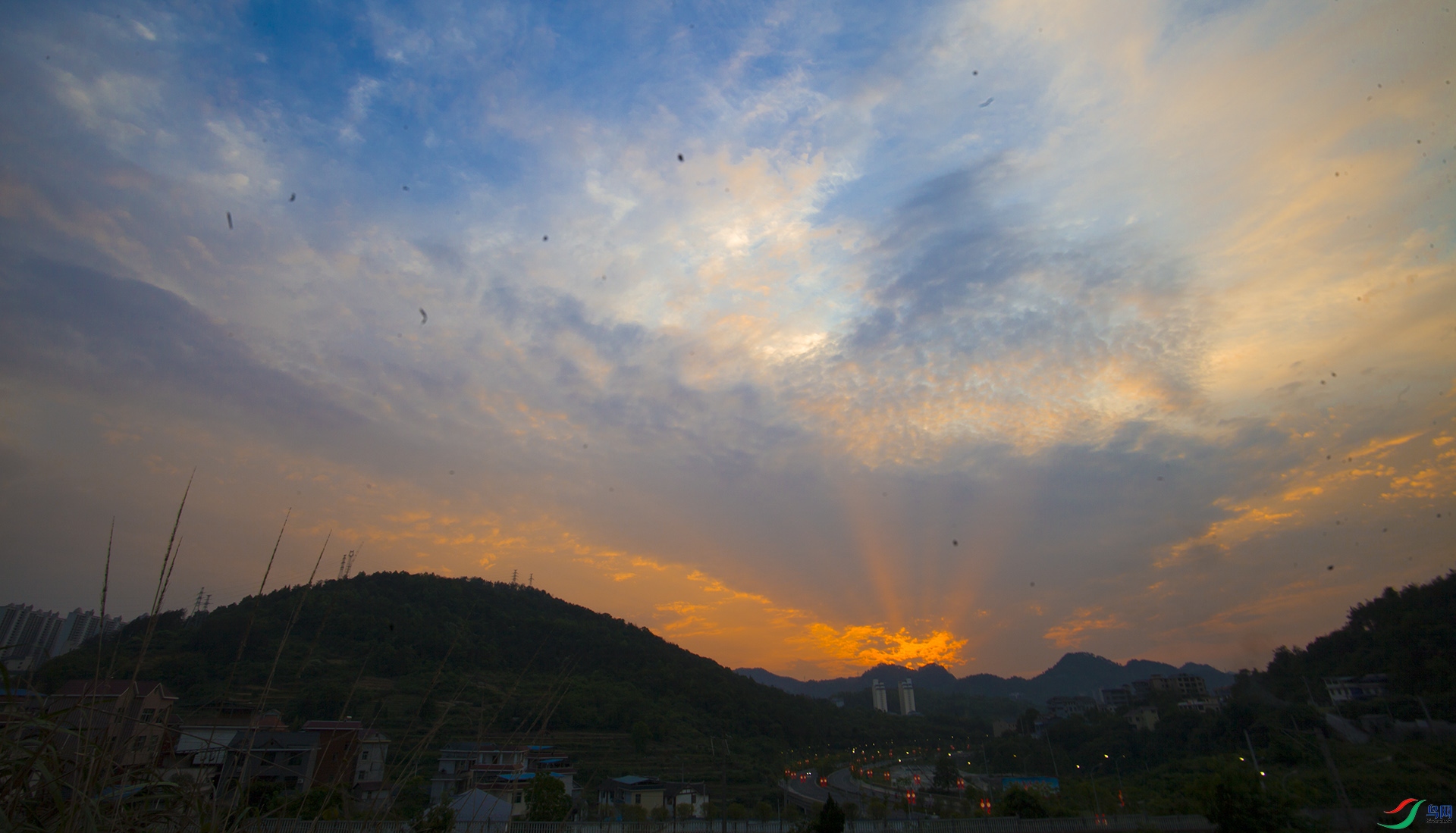 IMG_7195-0.jpg