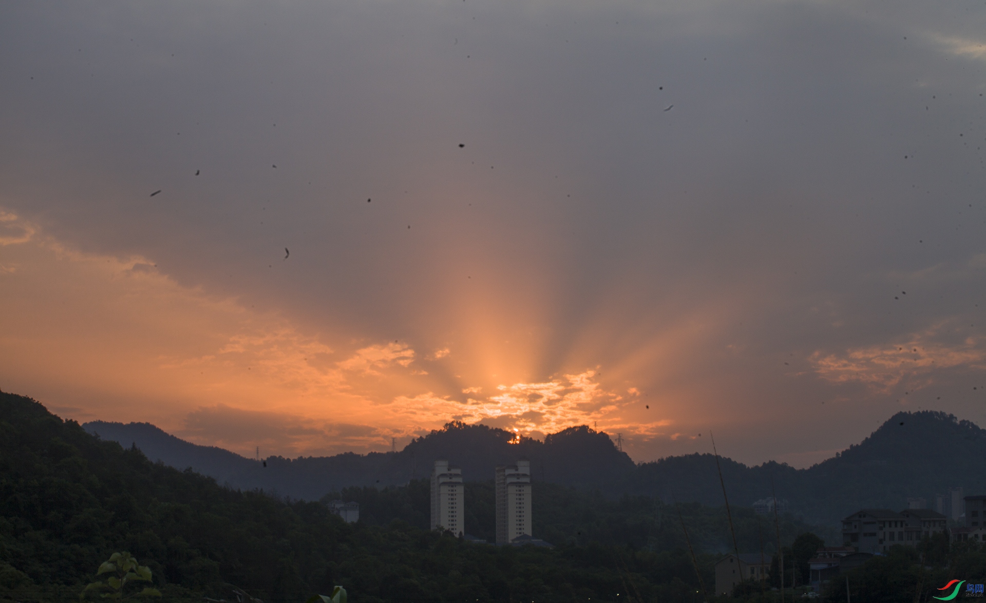 IMG_7147-0.jpg