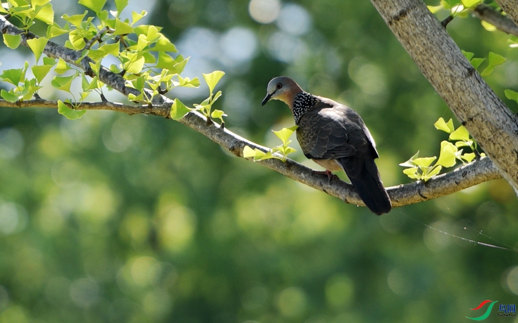 DSC_2723 (1)_����222_����_����.jpg