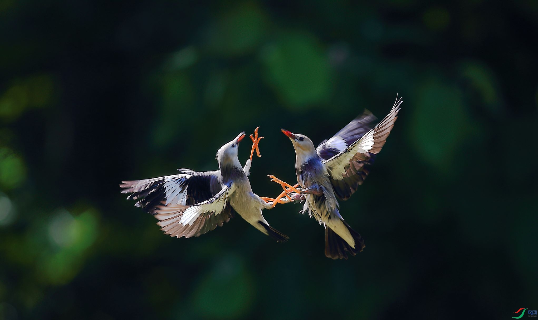 B43I9140-SharpenAI-Motion.jpg