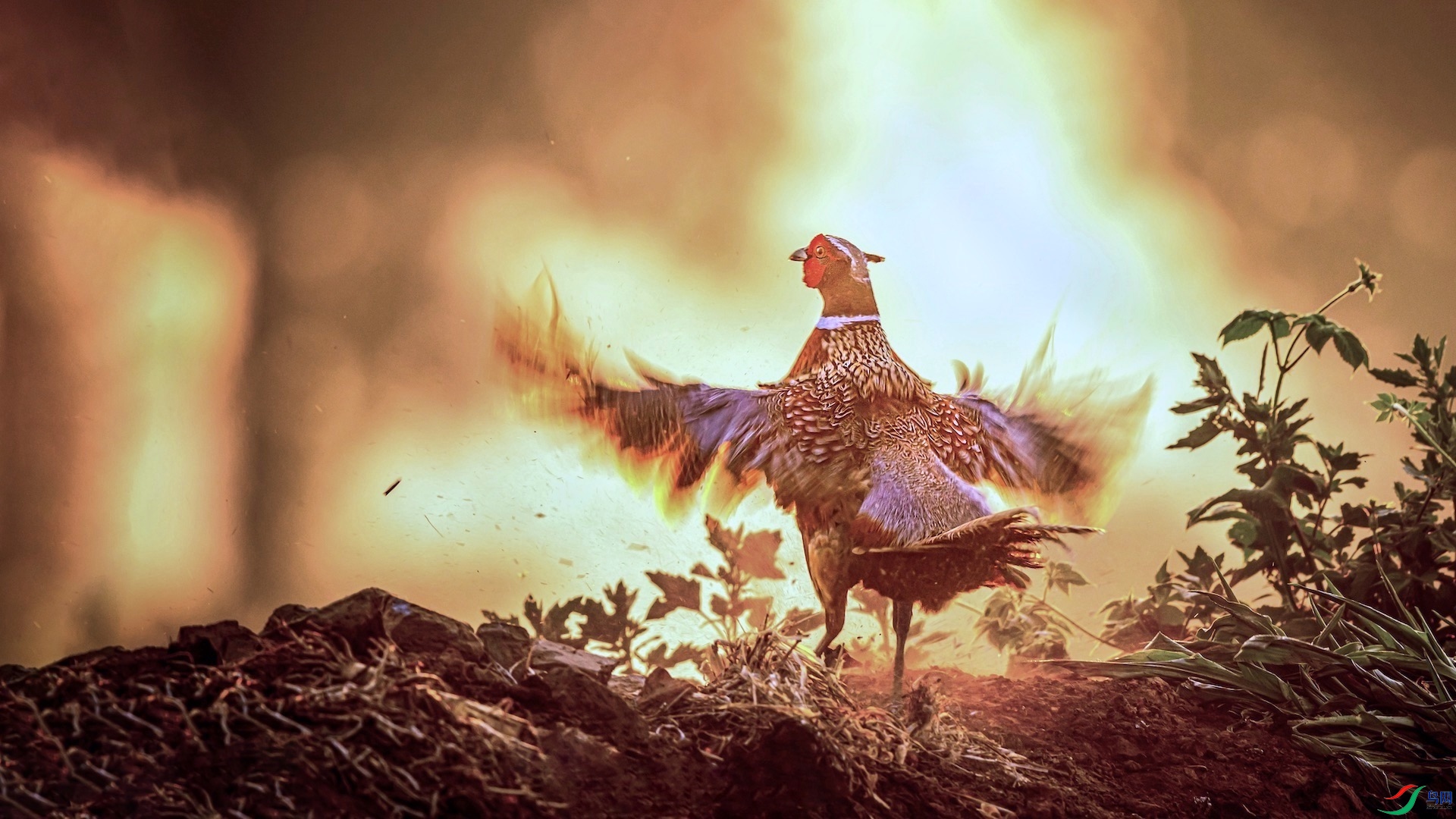 1_XXI6050_3-1 ����.jpeg