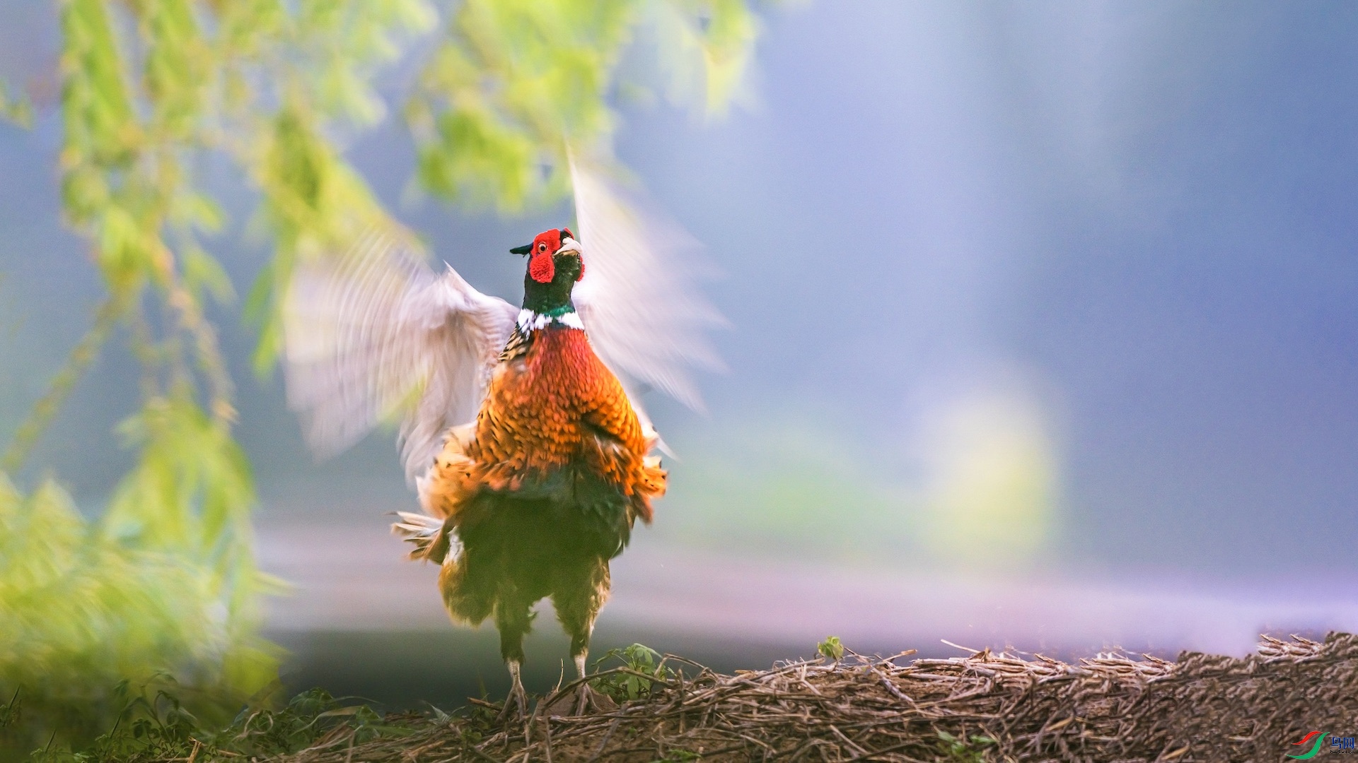 1XXI_2008 ����.jpg1 ���� 2.jpeg