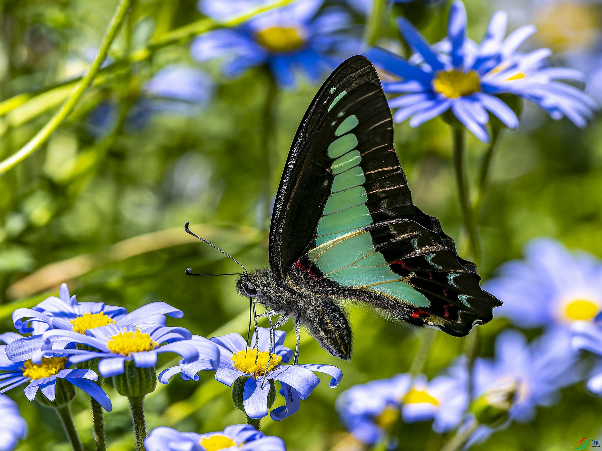 ���� (7).jpg