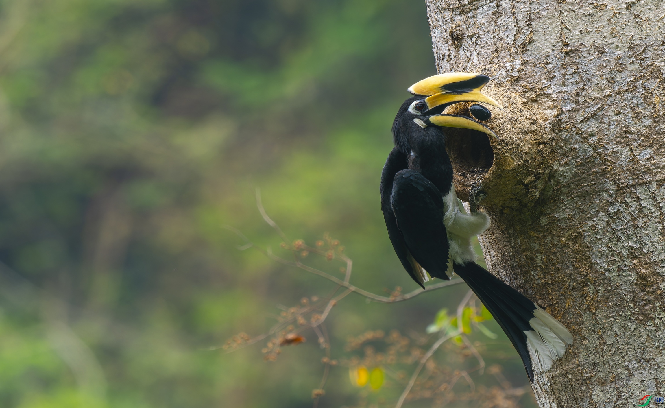 �ڰ�Ϭ��һ�� (16).jpg