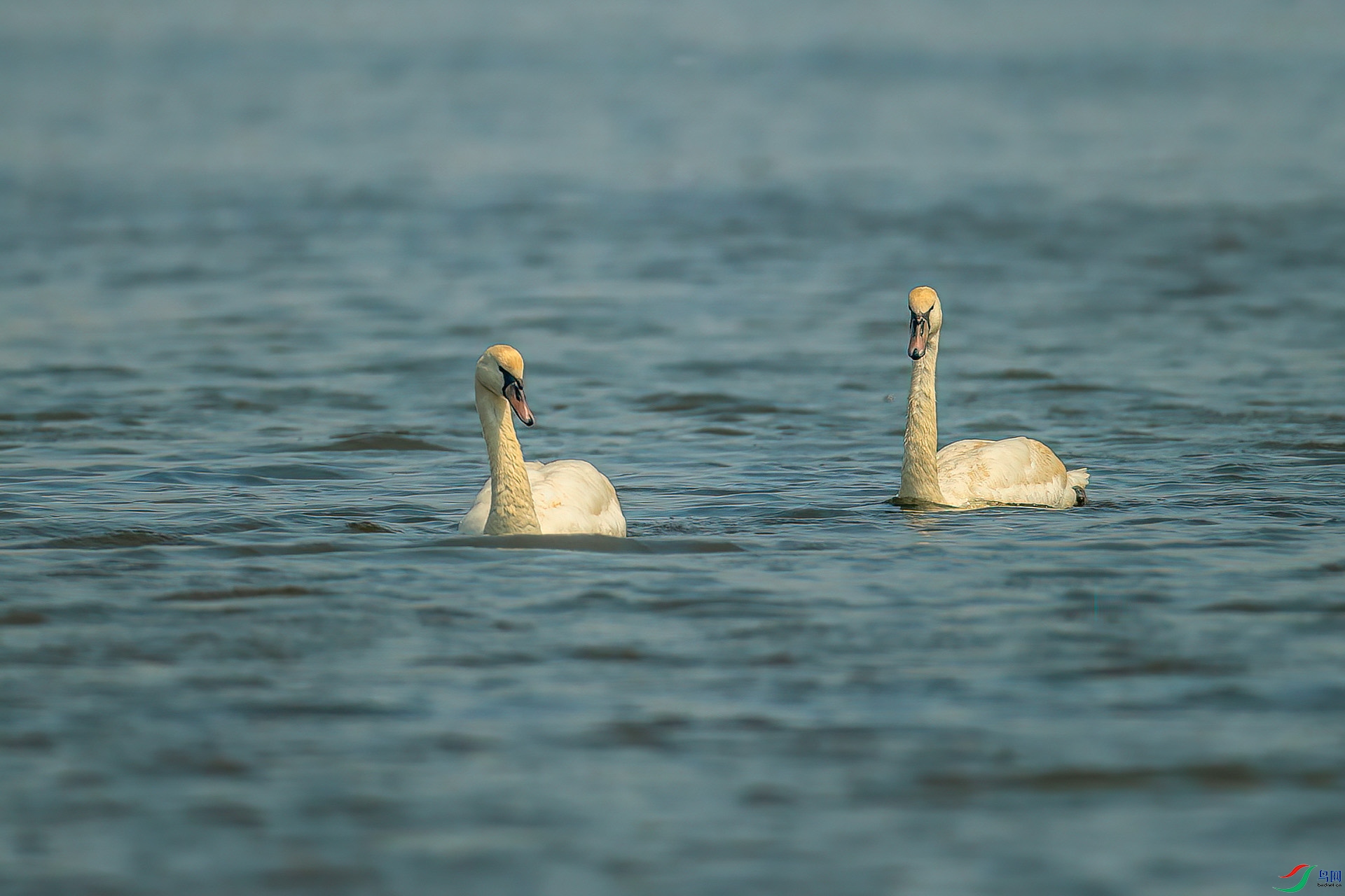 DSC_1241.jpg