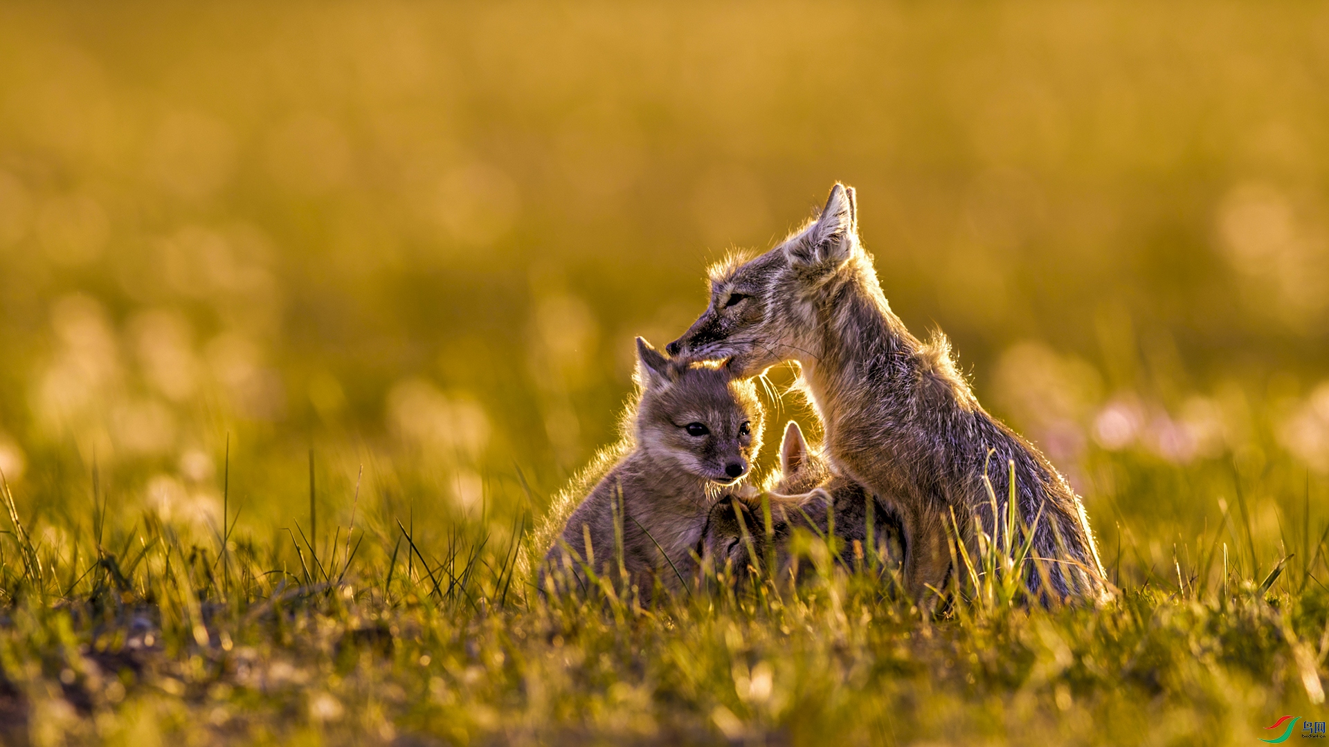 _H4I3700-CR3_DxO_DeepPRIME.jpg