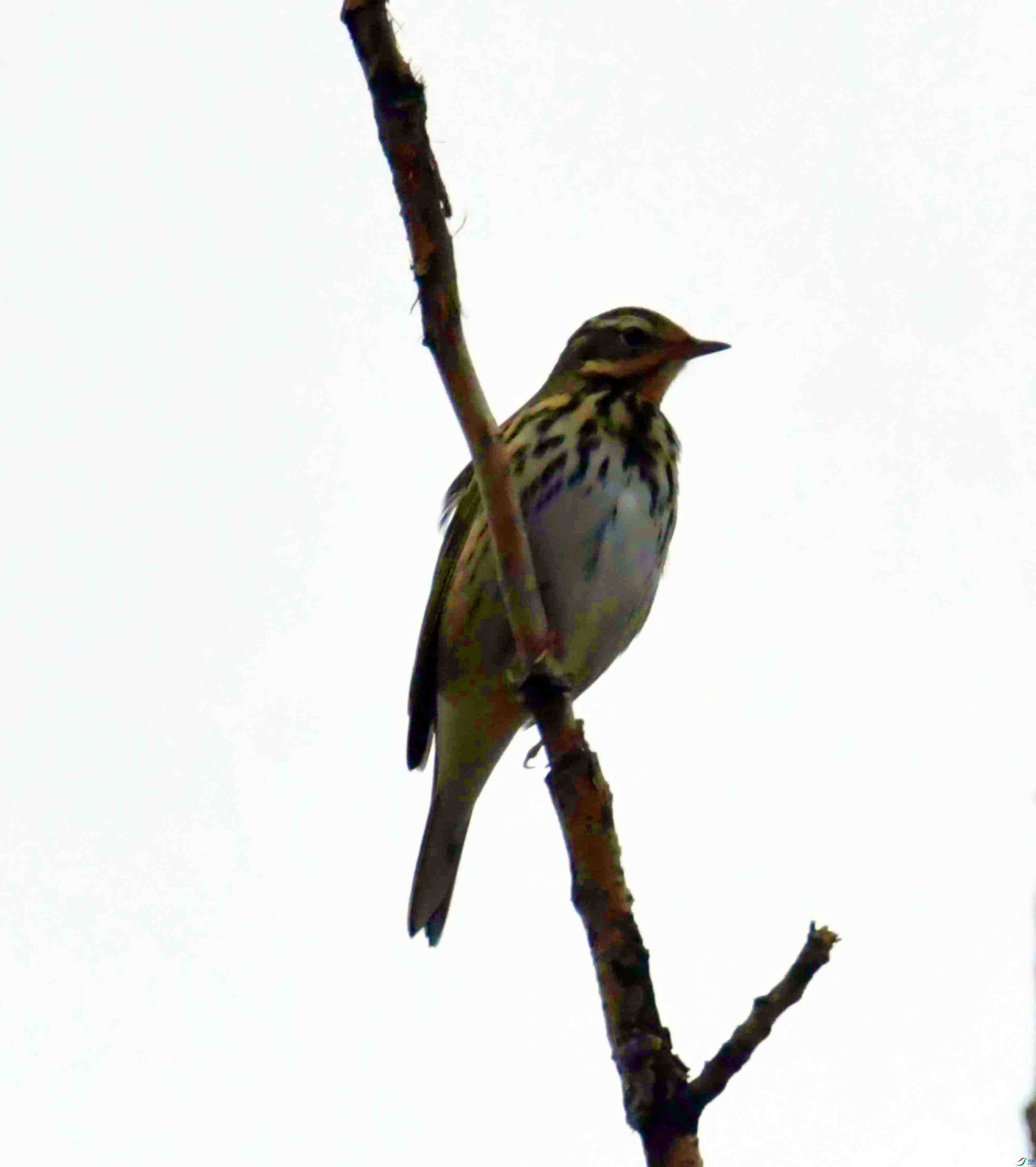 DSC_2060.JPG
