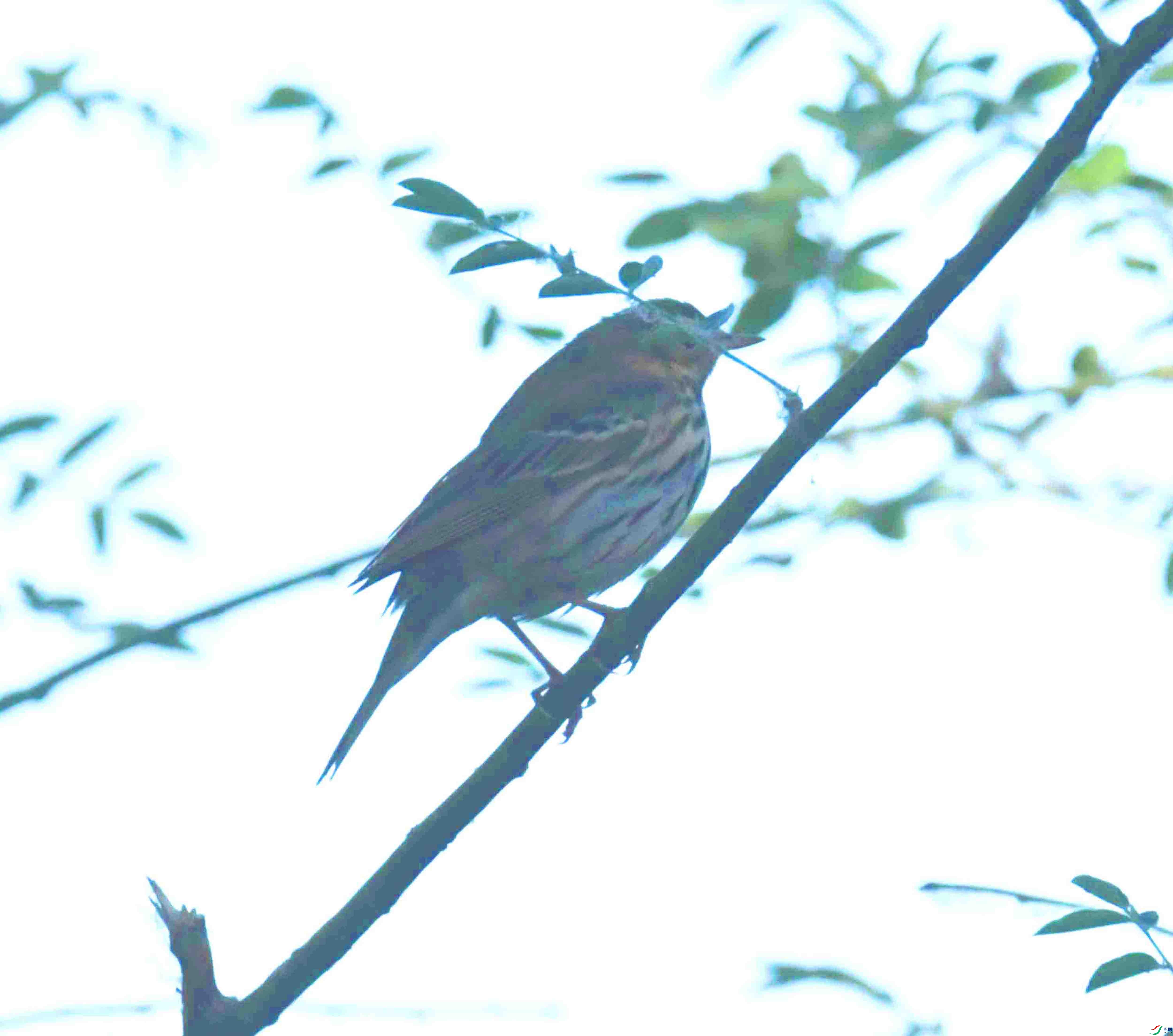 DSC_9407.JPG