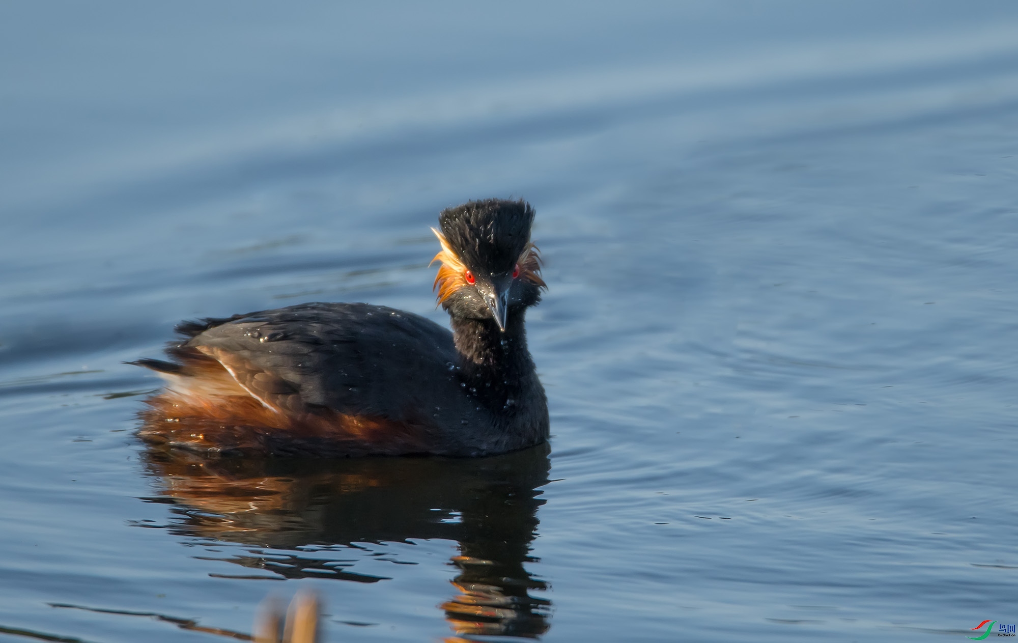 DSC_4135.jpg