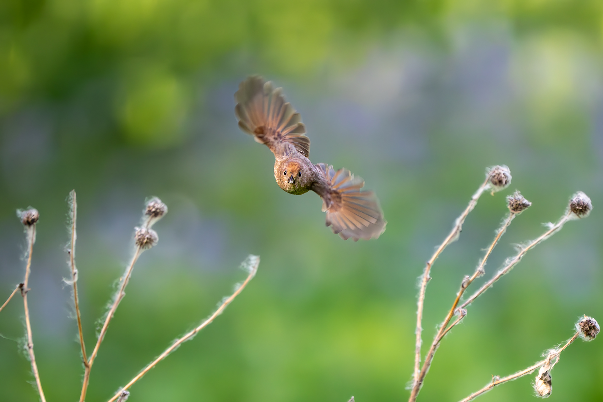 186_��Խ֮�� ����18-�����״�����.jpg