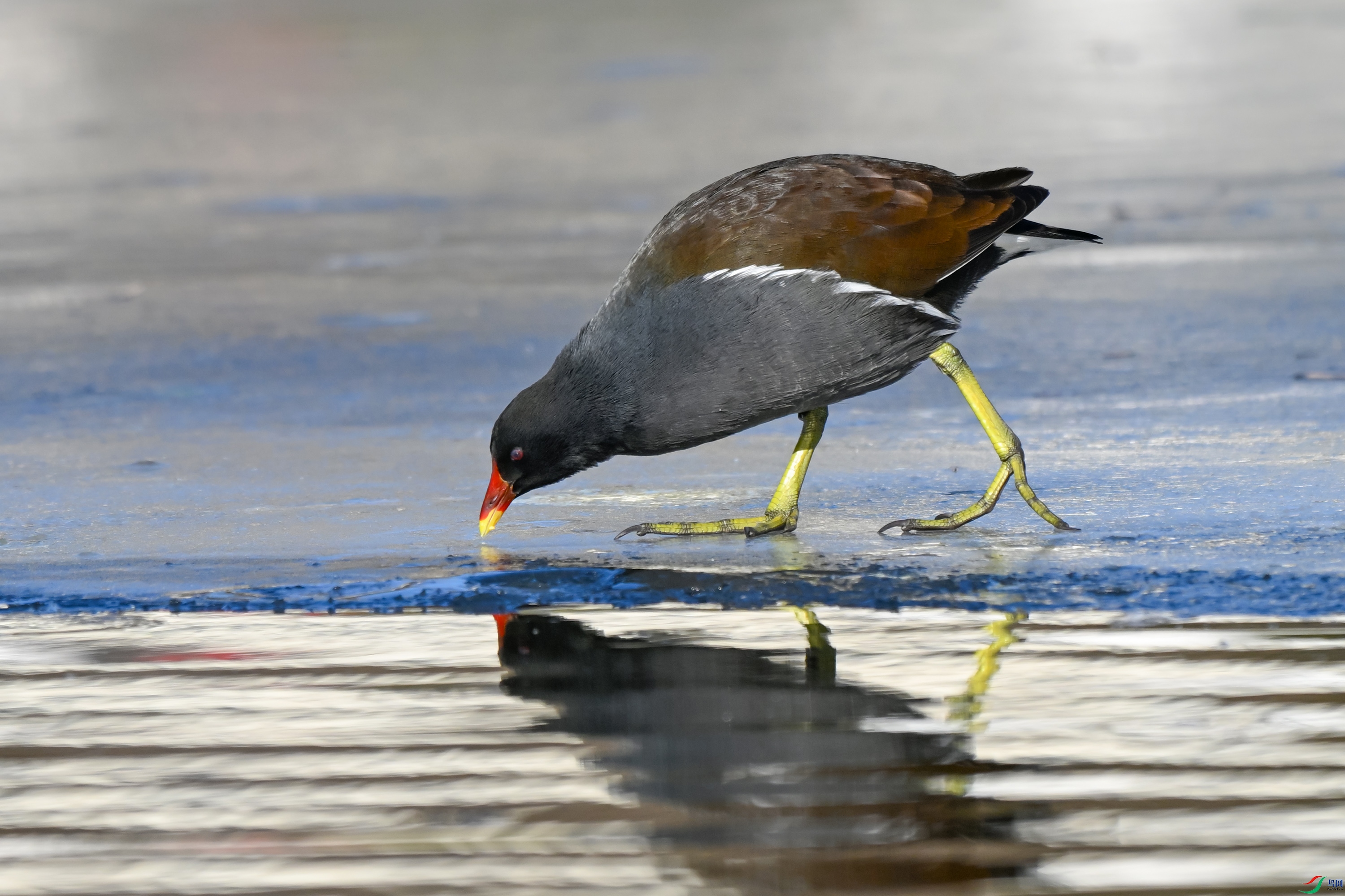 DSC_6916.JPG