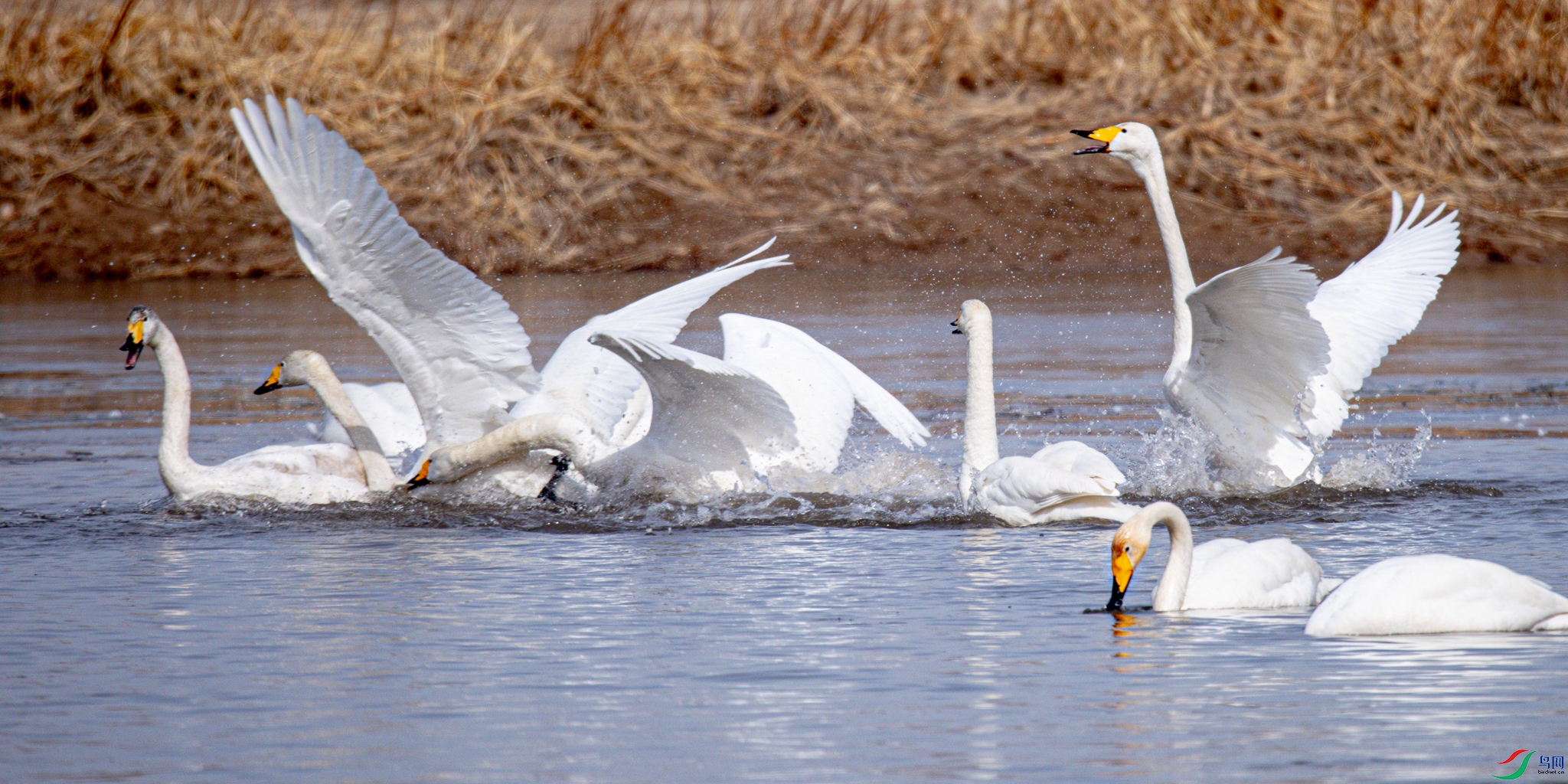 ���Ϲ���