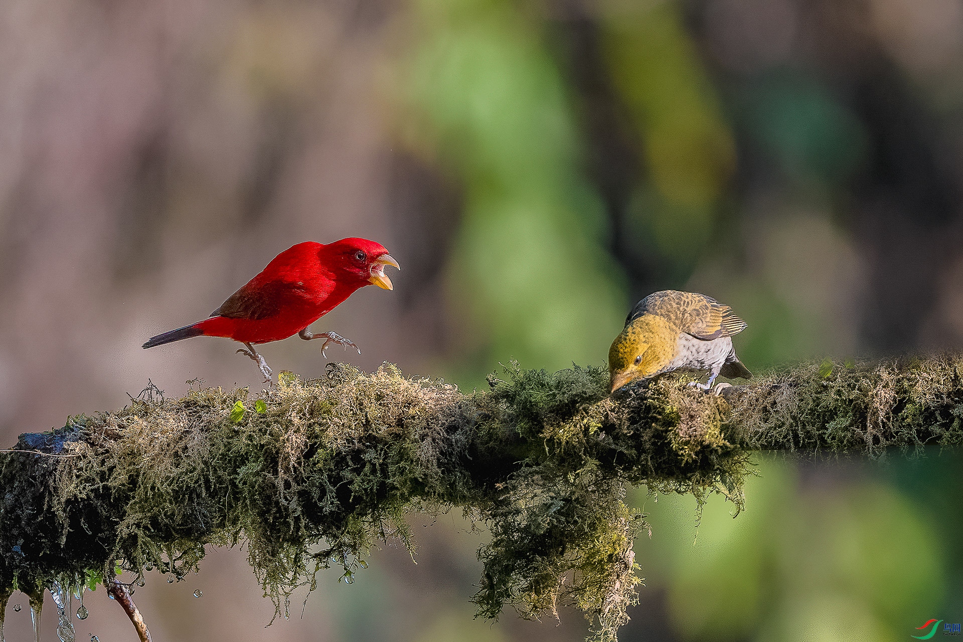 _DSC8000 ����.jpg