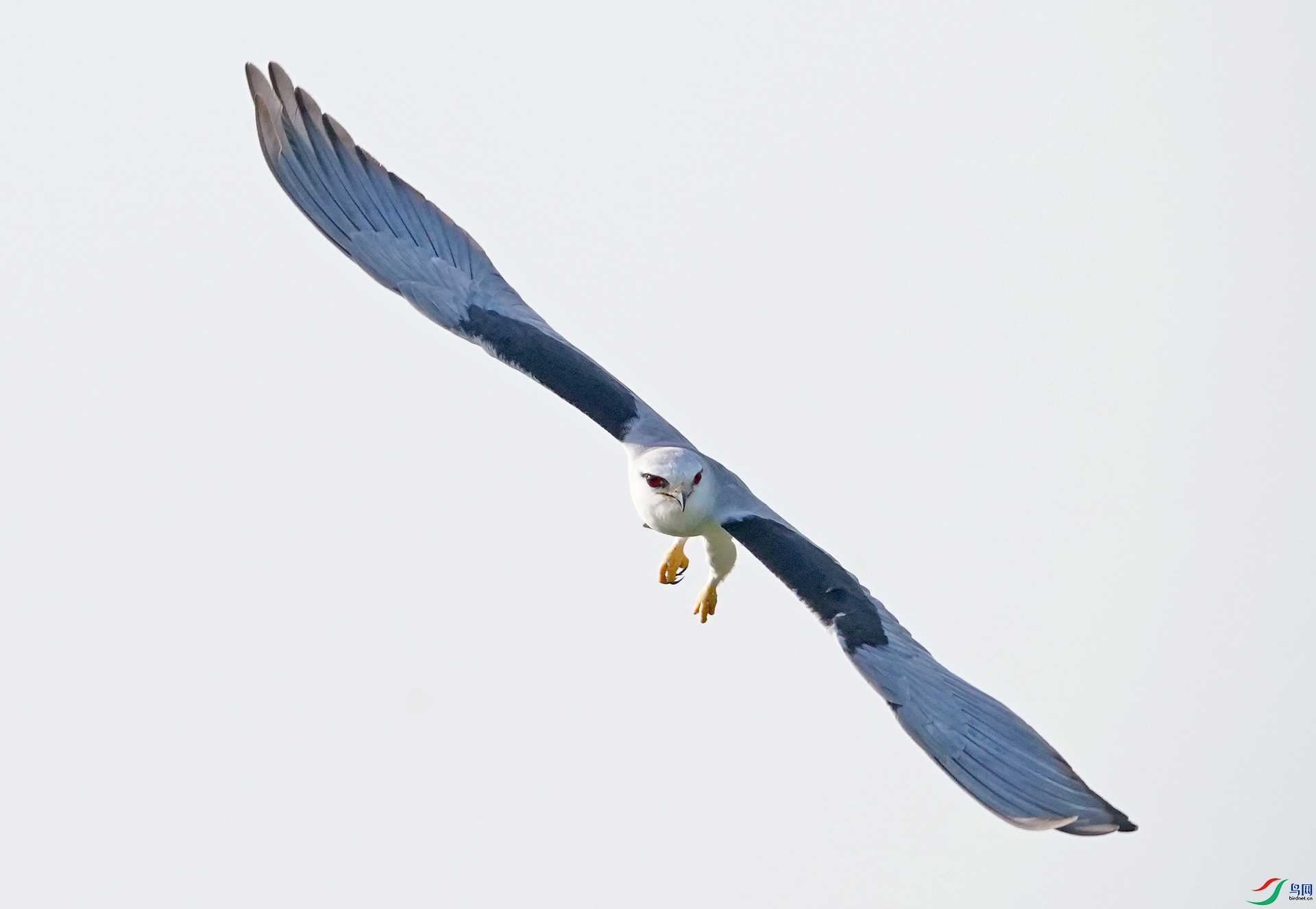 DSC04256AB.jpg