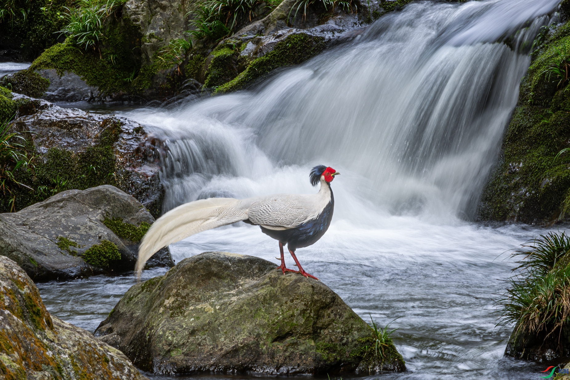 0P8A8886-����ǿ-NR.jpg
