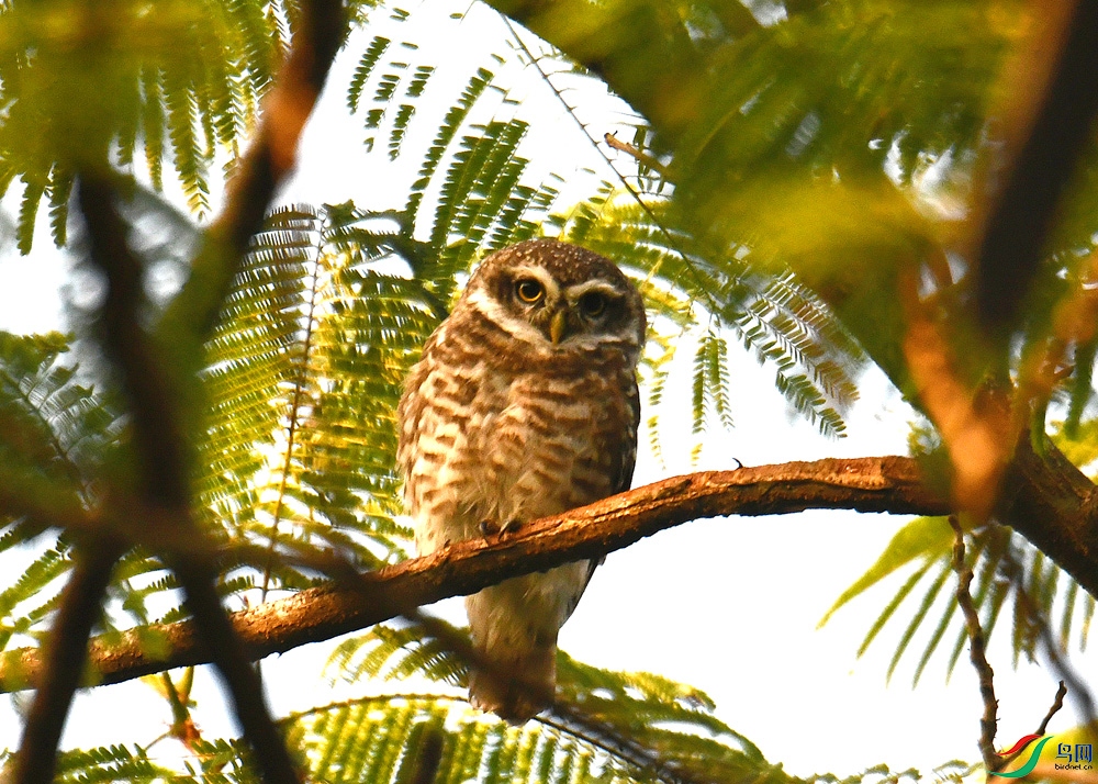 DSC_2309.jpg