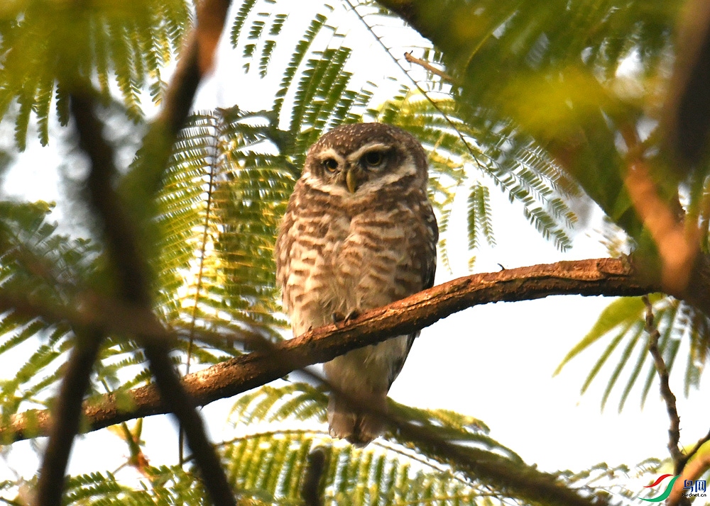 DSC_2328.jpg