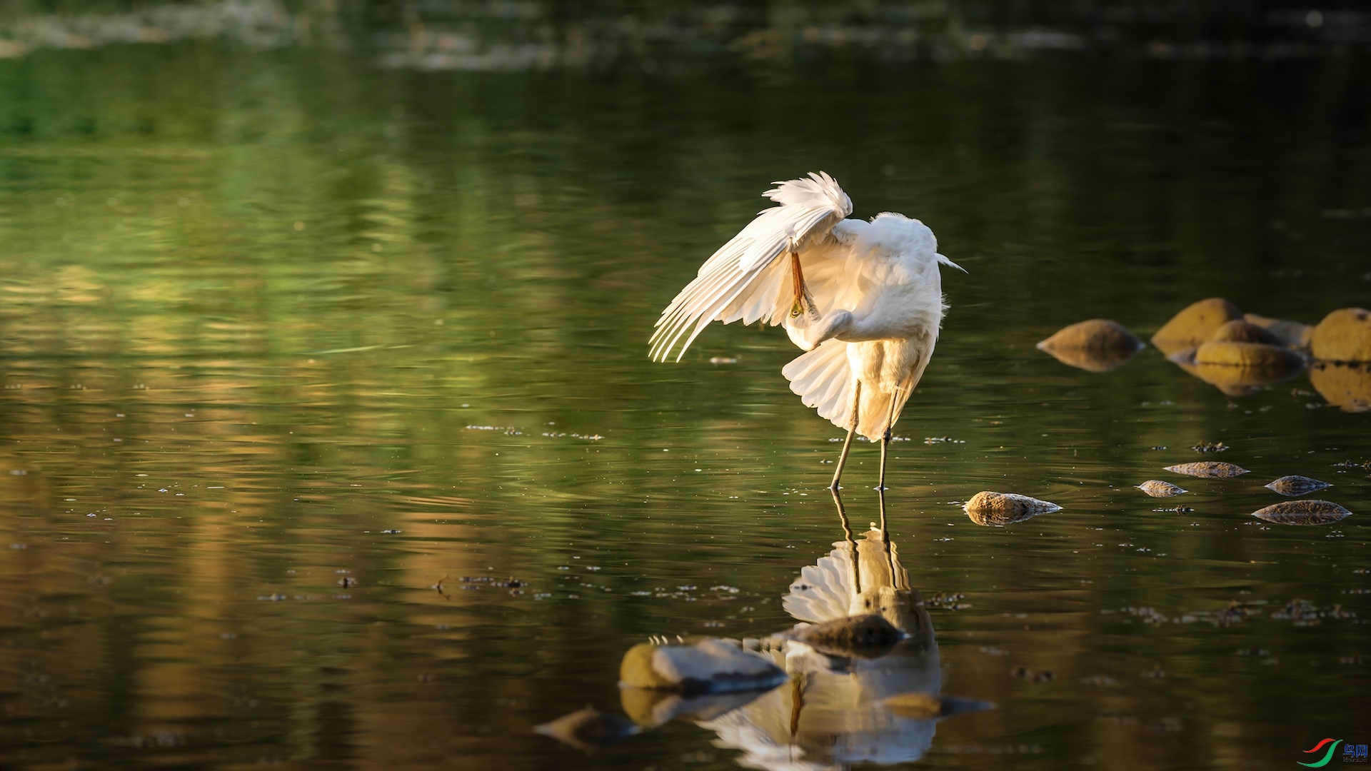 1_XXI2706 ����.jpeg