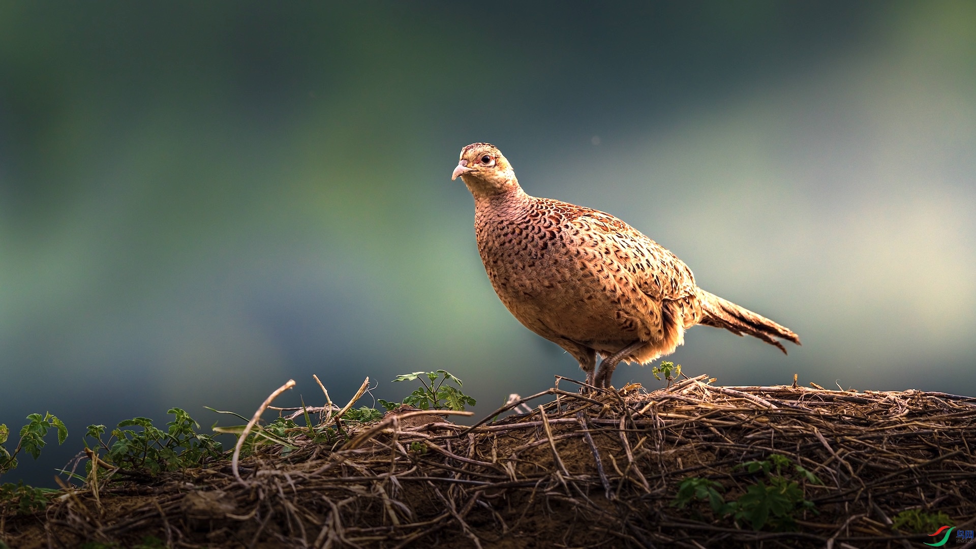 2_XXI2727 ����.jpeg