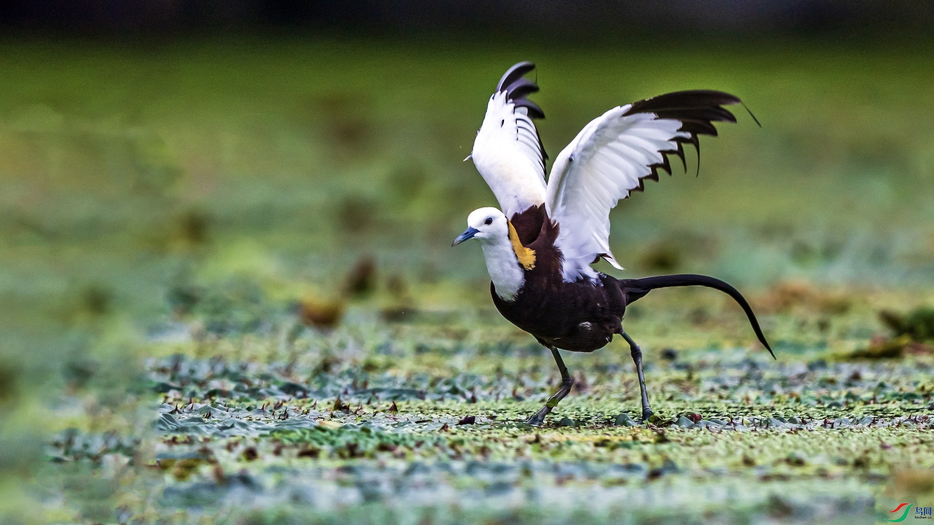 2-24 ����.jpeg