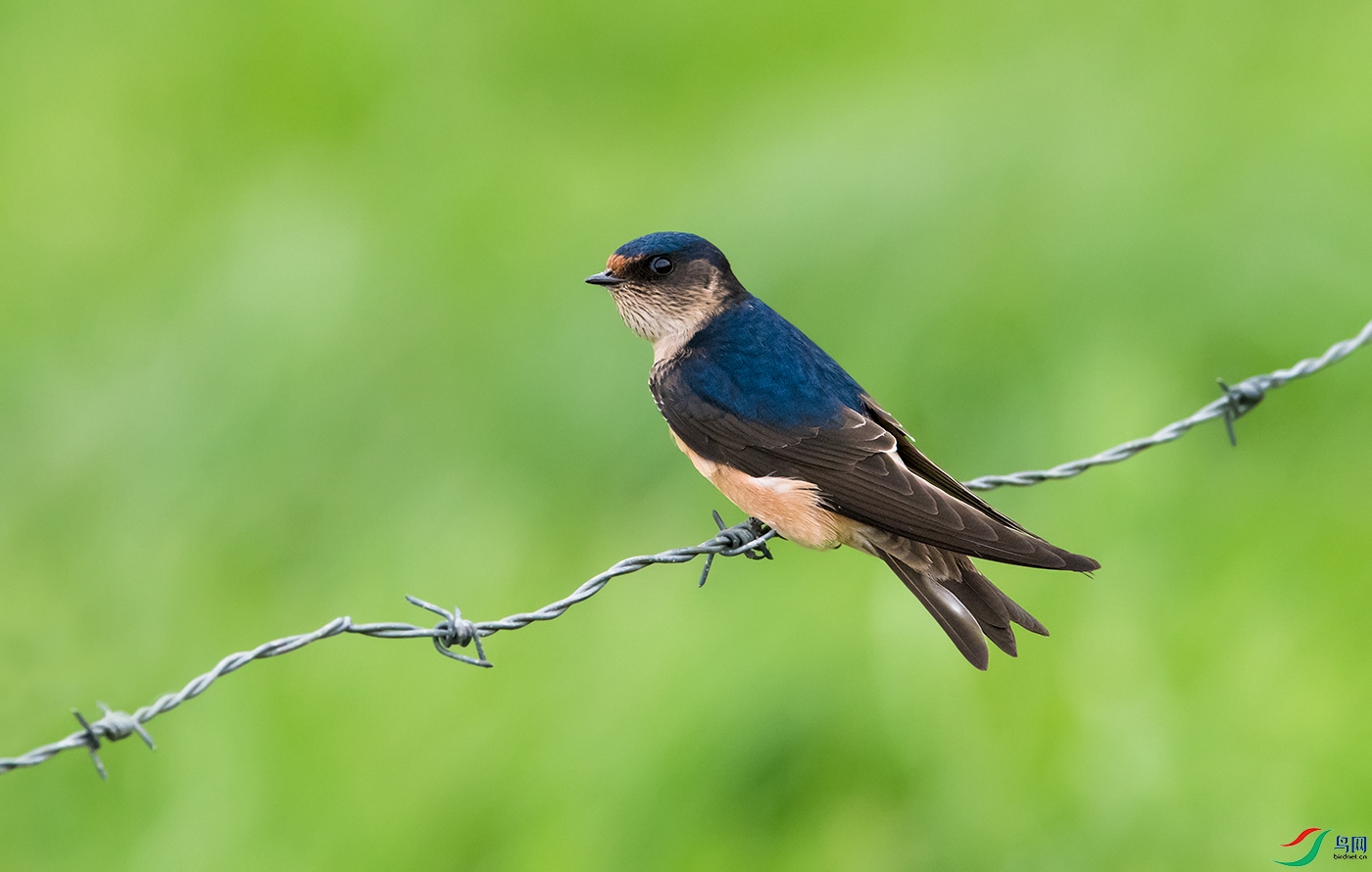 DSC_45111.jpg